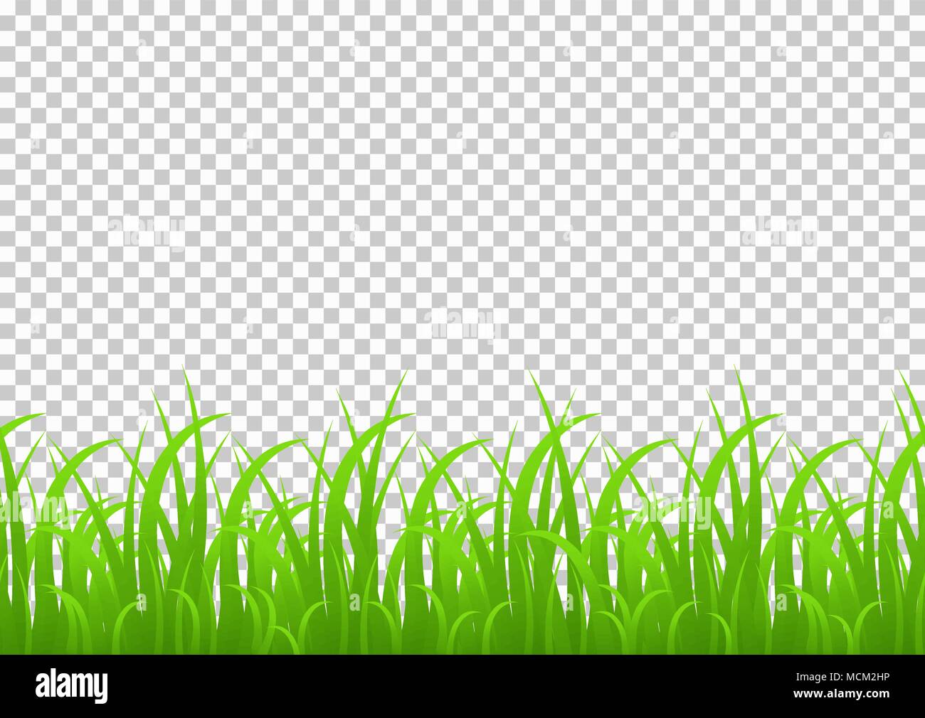 Gras nahtlose grenzüberschreitende, Vector Illustration auf transparentem Hintergrund isoliert. Wiese, Grün, Gras, Feld, Dekoration Element für die Registrierung und Stock Vektor