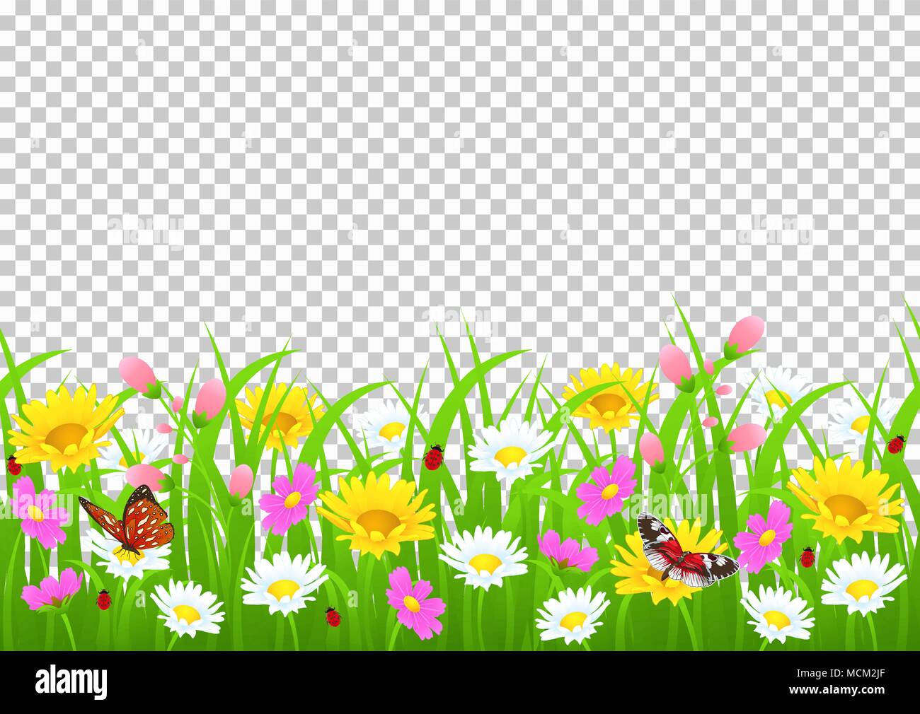 Blumen und Gras Grenze, gelben und weißen Kamille und zarten rosa Wiese Blumen und grünes Gras, Schmetterlinge und Marienkäfer auf Transparenten backgrou Stock Vektor