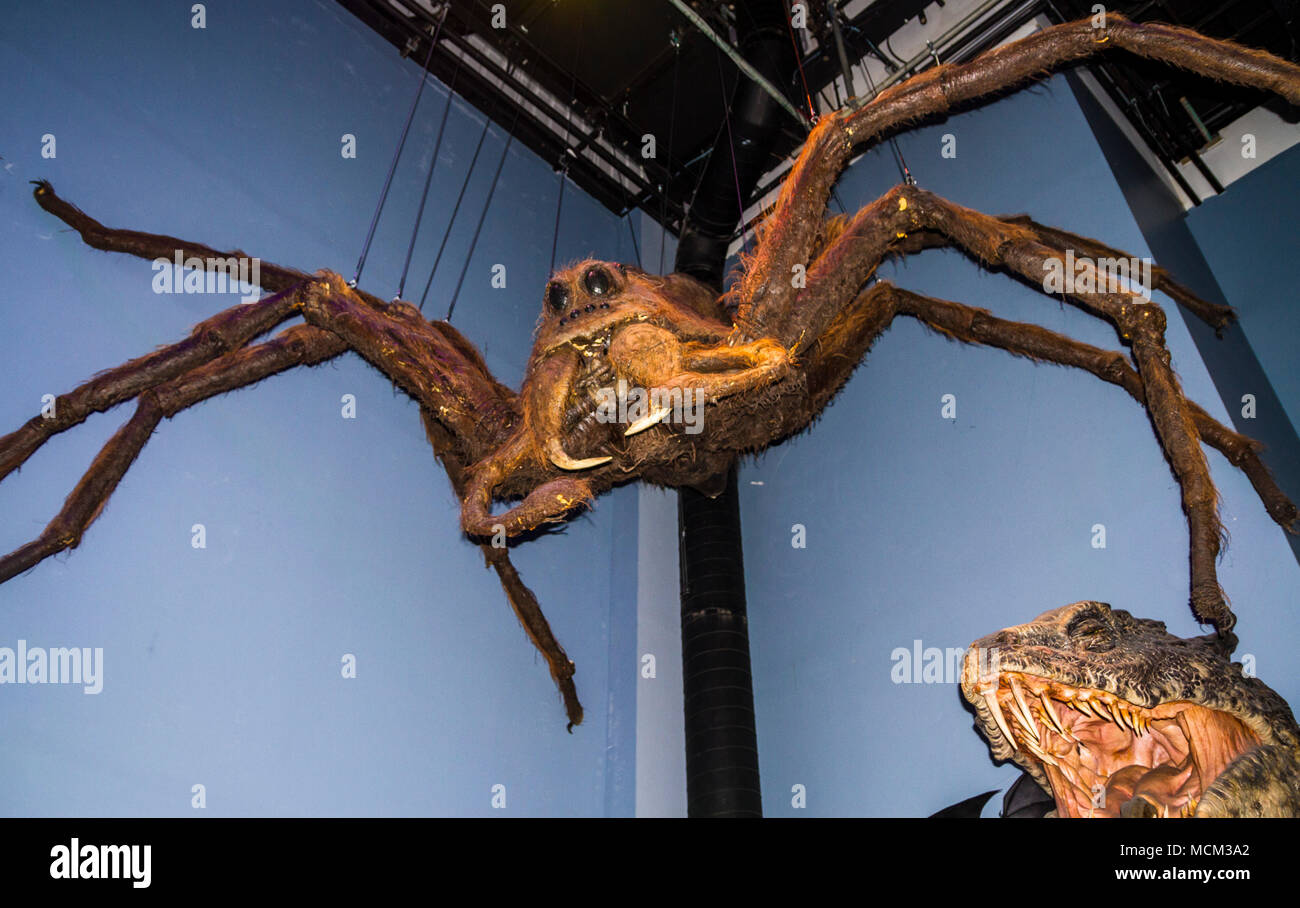 Aragog, riesige Spinne, Harry Potter Studios, die Herstellung von Harry  Potter Warner Bros Studio Tour Leavesden, London, England, Vereinigtes  Königreich, Europa Stockfotografie - Alamy