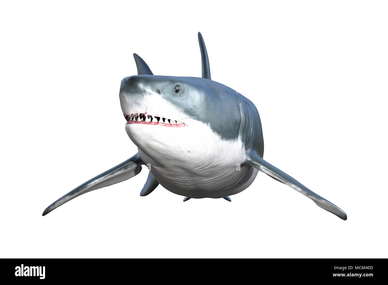 Great White Shark isoliert auf Weiss, 3D-Rendering Stockfoto