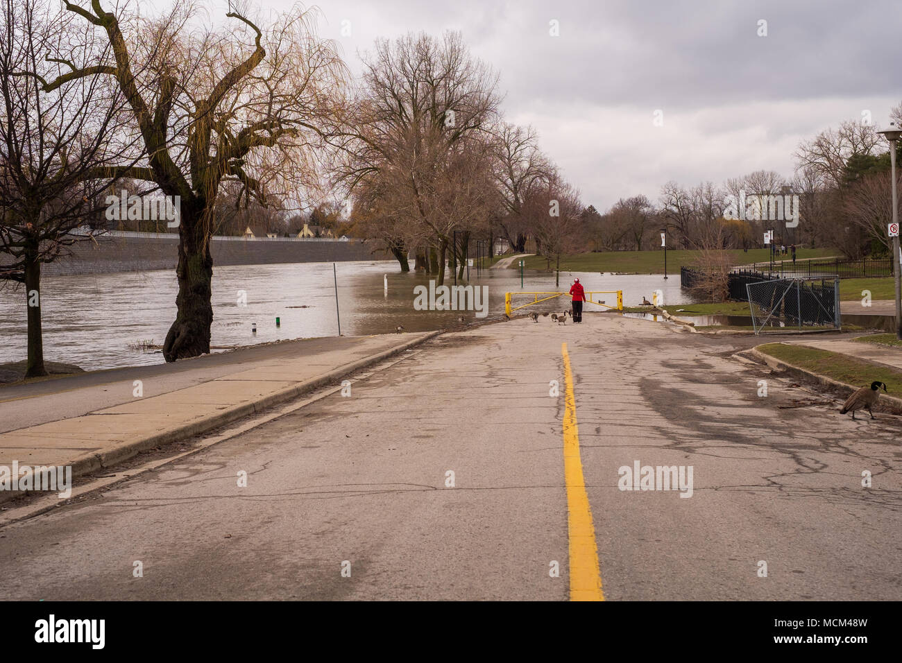 Ungewöhnlich kühle Wetter und zwei Tage Regen, Schnee und Eisregen war zu viel für die Themse zu handhaben wie es oben über seine Ufer stieg Stockfoto