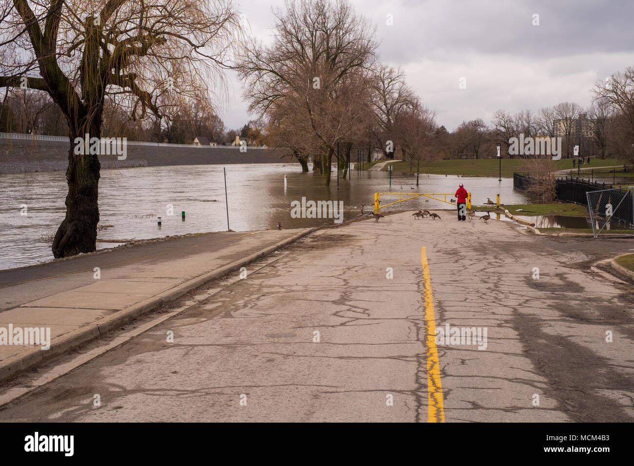 Ungewöhnlich kühle Wetter und zwei Tage Regen, Schnee und Eisregen war zu viel für die Themse zu handhaben wie es oben über seine Ufer stieg Stockfoto