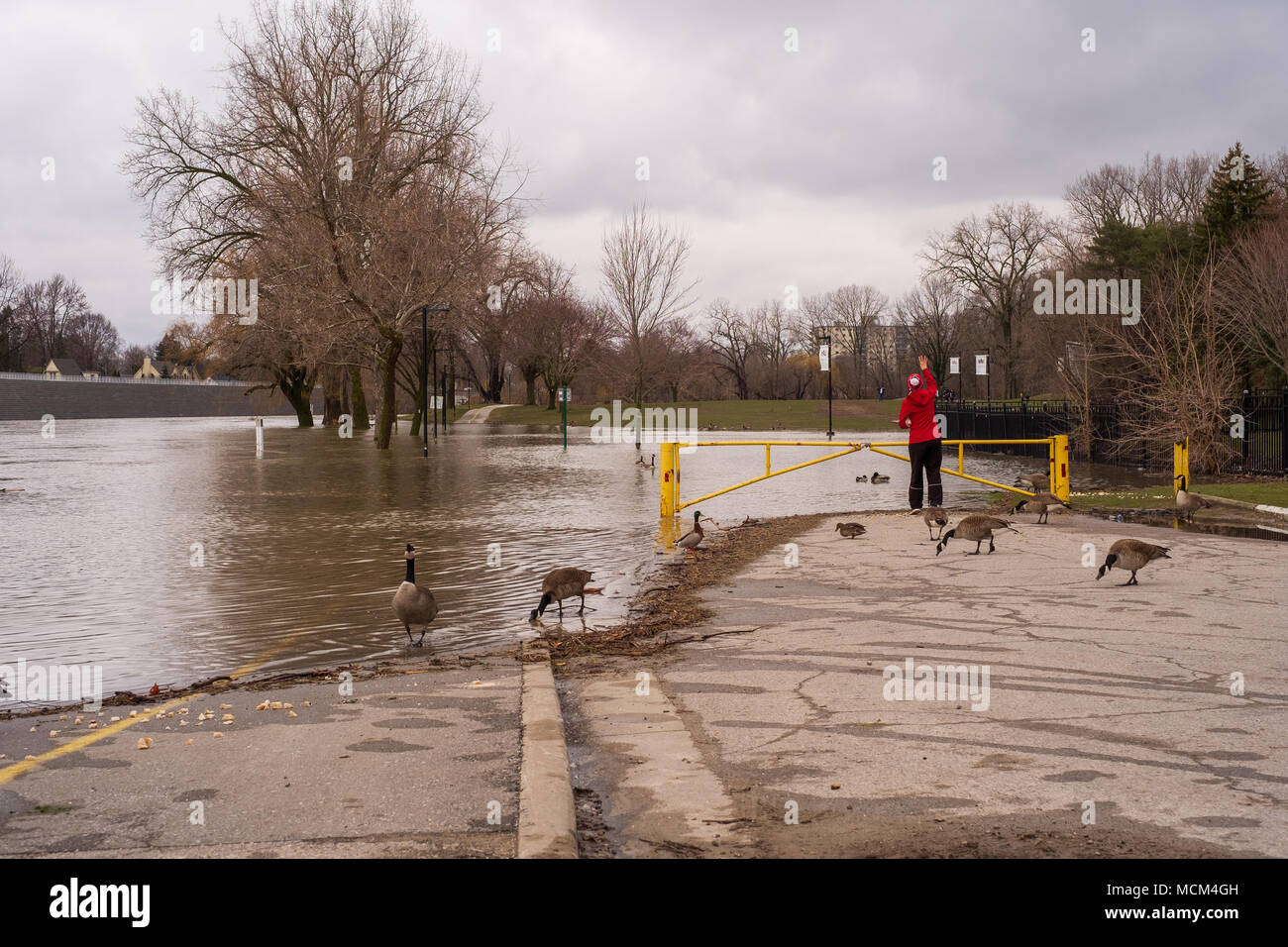 Ungewöhnlich kühle Wetter und zwei Tage Regen, Schnee und Eisregen war zu viel für die Themse zu handhaben wie es oben über seine Ufer stieg Stockfoto