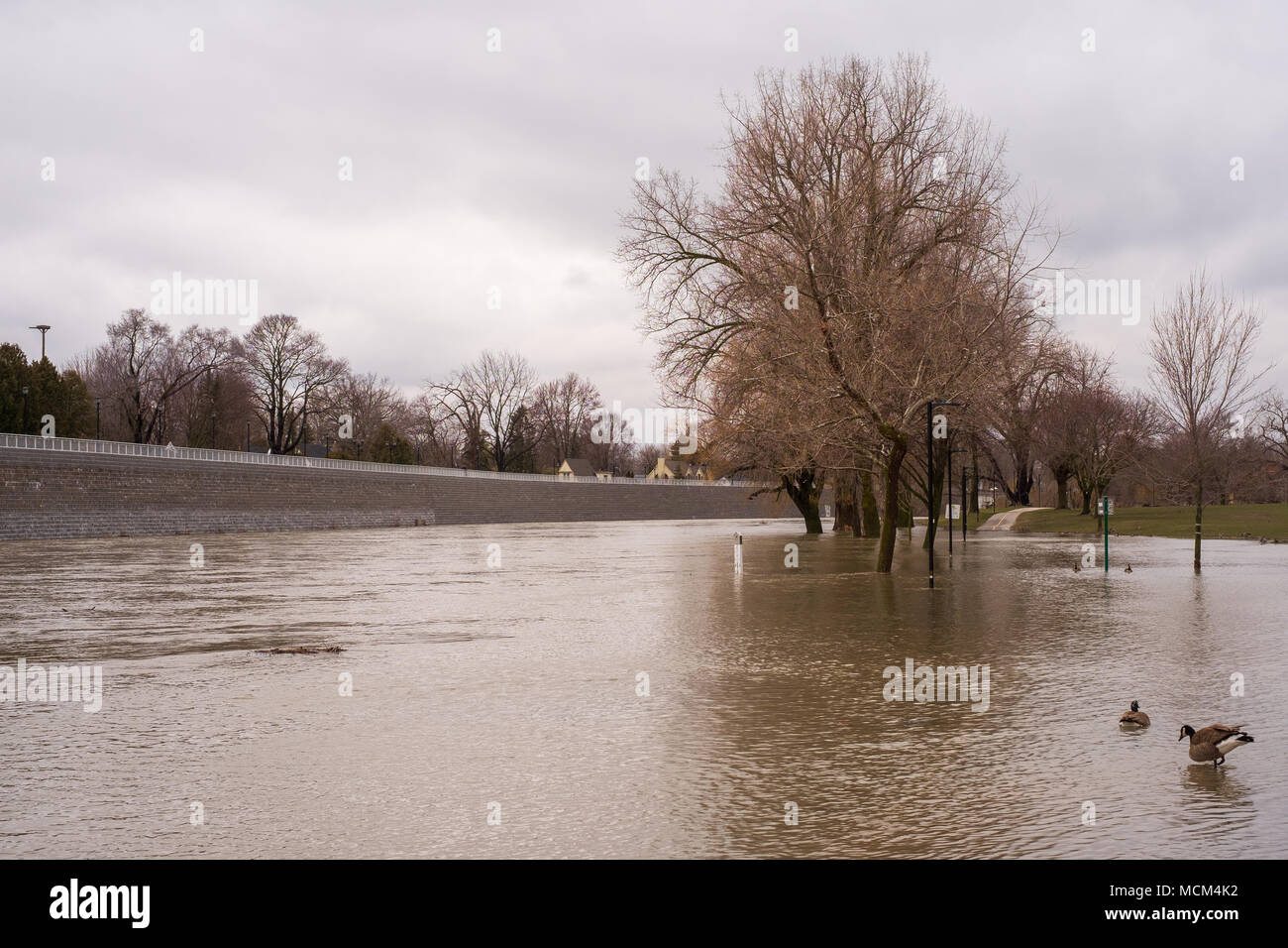 Ungewöhnlich kühle Wetter und zwei Tage Regen, Schnee und Eisregen war zu viel für die Themse zu handhaben wie es oben über seine Ufer stieg Stockfoto