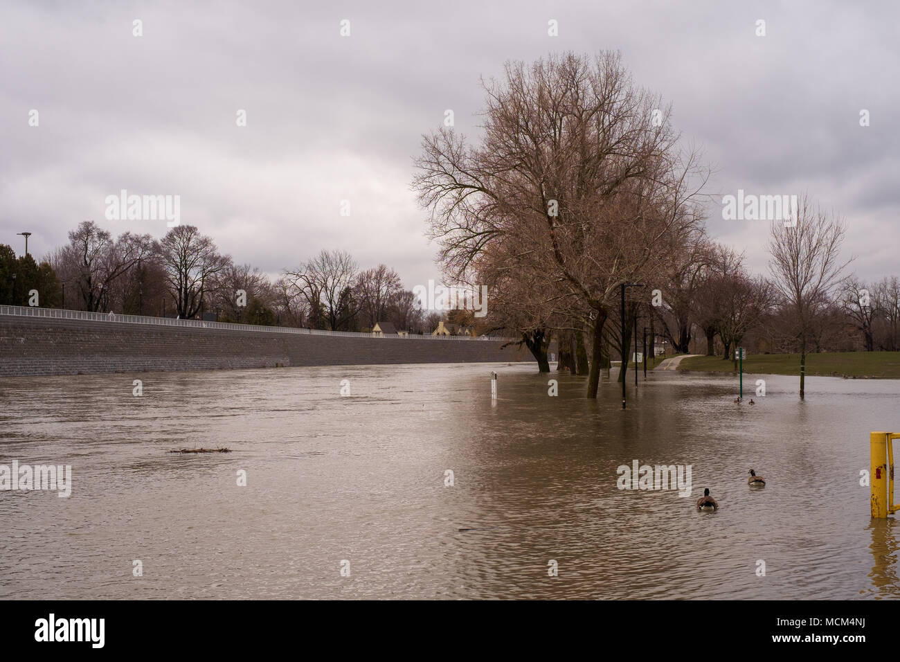Ungewöhnlich kühle Wetter und zwei Tage Regen, Schnee und Eisregen war zu viel für die Themse zu handhaben wie es oben über seine Ufer stieg Stockfoto