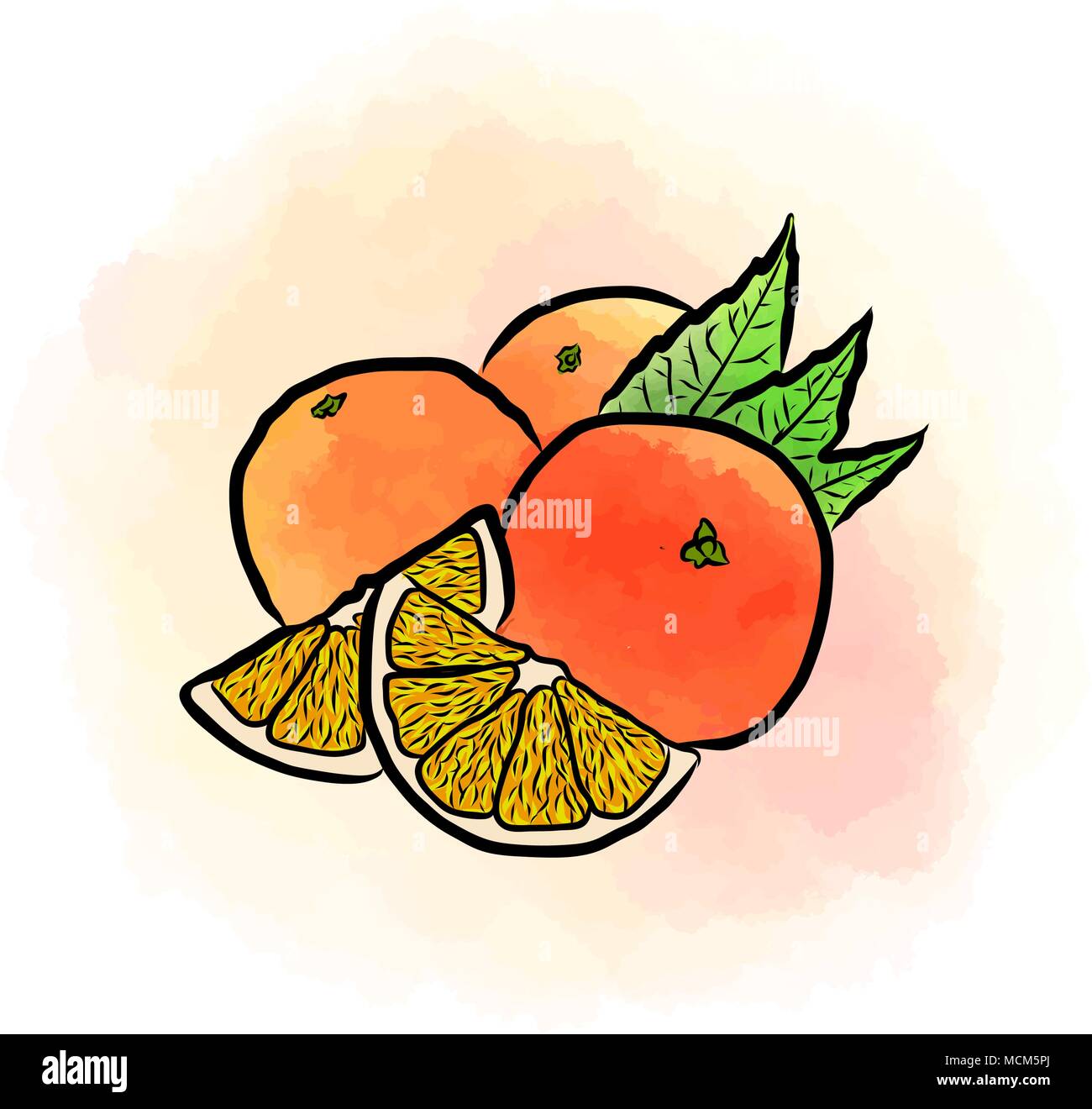 Farbige Zeichnung von Orangen. Frische vektor design von bunten Früchte in Aquarell Stil. Vector marketing Abbildung auf weißen Hintergrund. Stock Vektor