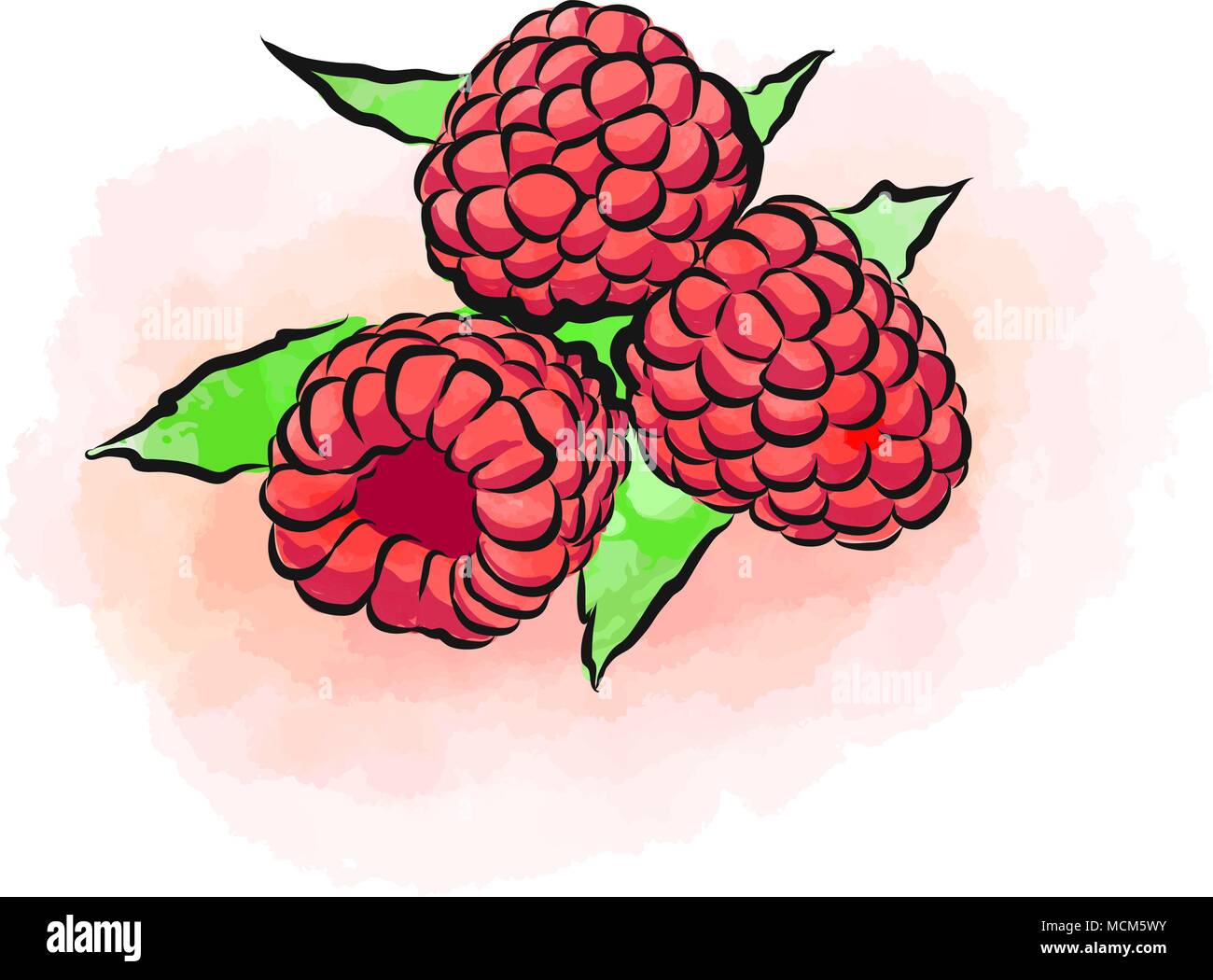 Farbige Zeichnung von Himbeeren. Frisches Design mit bunten Früchten in Aquarell Stil. Modernes marketing Abbildung auf weißen Hintergrund. Stock Vektor