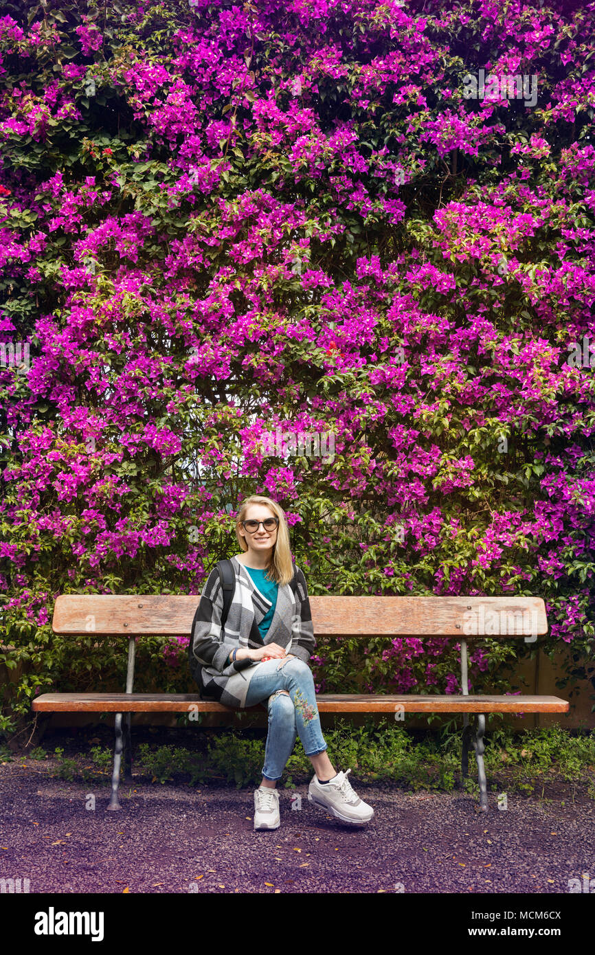 Frau sitzt auf der Bank vor der Lila Blume hedge Stockfoto