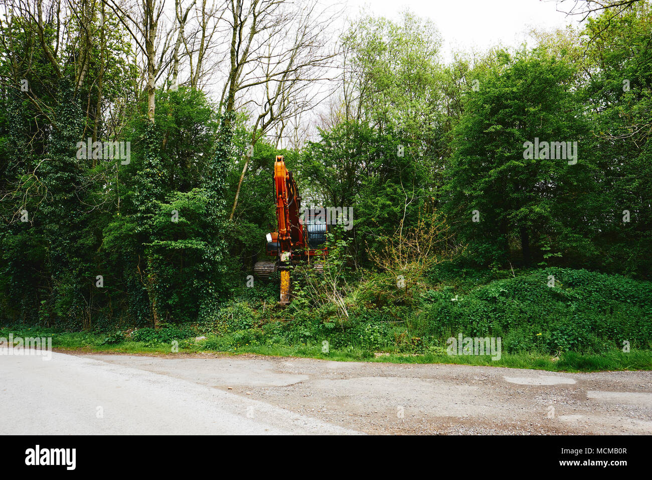 Ein Bagger industrielle Digger im Unterholz der ländlichen Landschaft versteckt Stockfoto