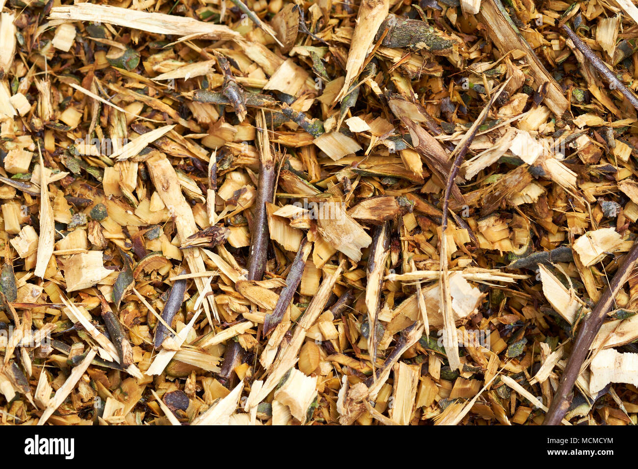 Garten Mulch durch Zerkleinerung von Abfällen waldige Pflanze Baumschnitt, UK produziert. Stockfoto