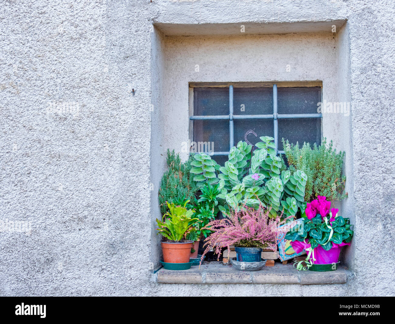 Stadt Trevi in Umbrien, Italien Stockfoto