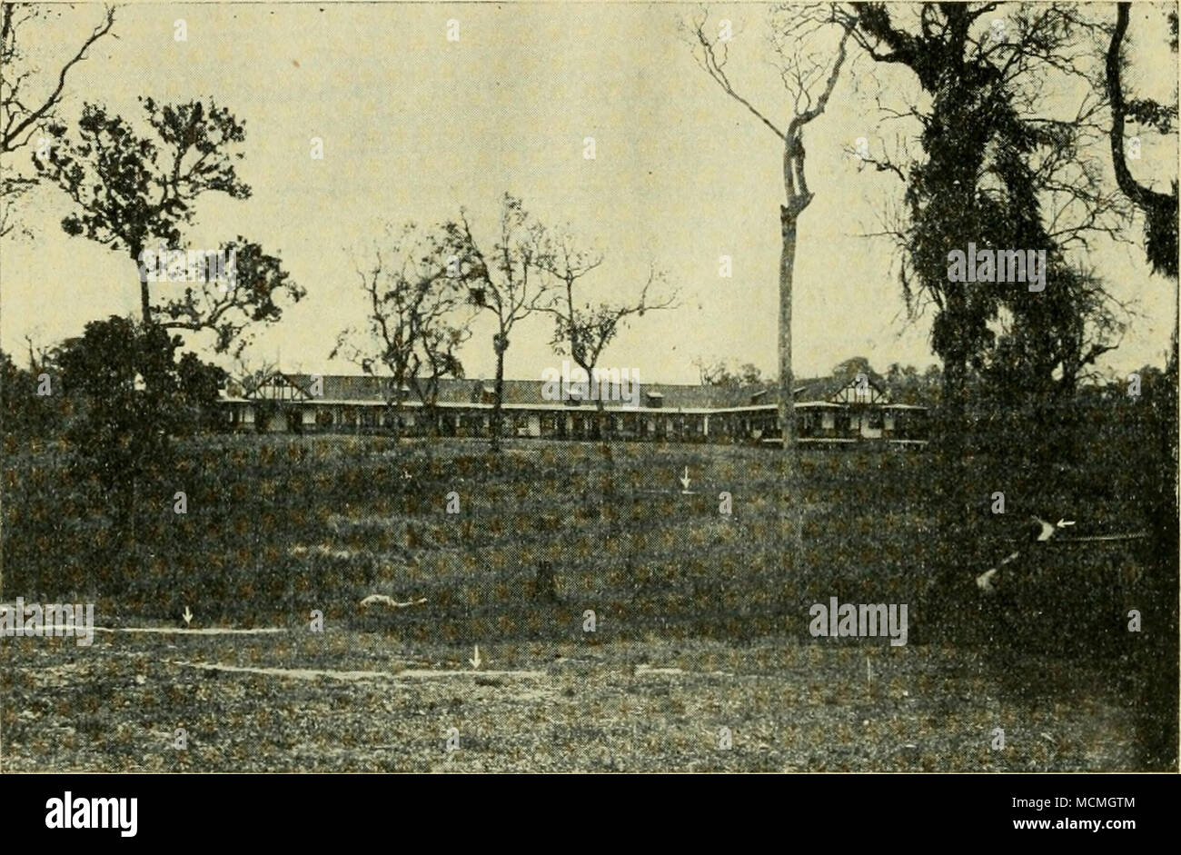 . Abb. 4. - Hotel y alrededores de l^s Cataratas del Iguazú. Las Flechas indican Los cria - deros de Anopheles tarsimaculatus (2.2 de Oct de 19 i 7). Caitaratas del Iguazú. -En una Pequeña zanja, con Aguas tranquilas, Frente al Hotel. A. (N.) tarsimaculatus, Goeldi. Villa ENCARNACION (Paraguay), Frente a Posadas. 1. En un Manantial cerca de Las Barrancas de la Costa, Que Son de poca Altura: A. (N.) argyritarsis, Rob. Sp. A. (N.) tarsimaculatus, Goeldi. 2. En un Pozo en el paisaje rocoso de una Pequeña corriente de Agua, completamente sombreada por la vegetación. A. (Arr.) spp? A. (N.) argyritar Stockfoto