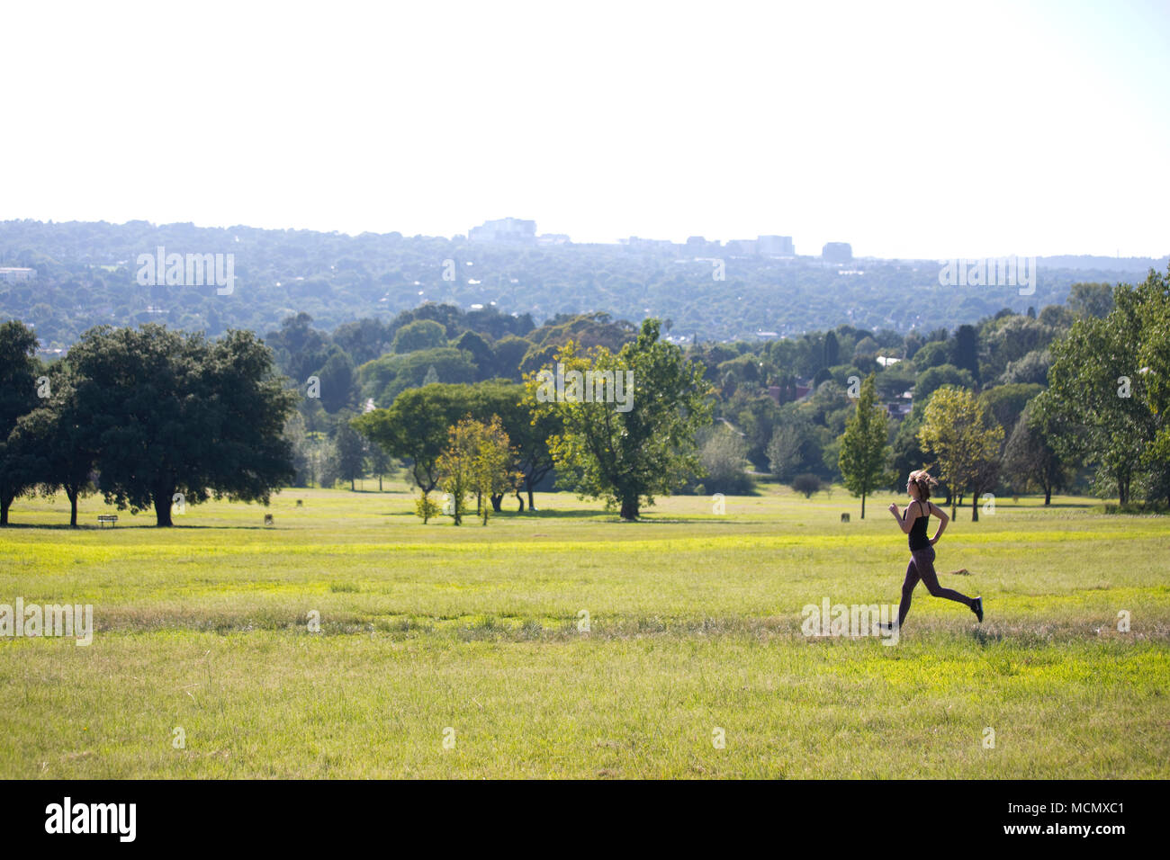 Frau joggen durch den Park Stockfoto