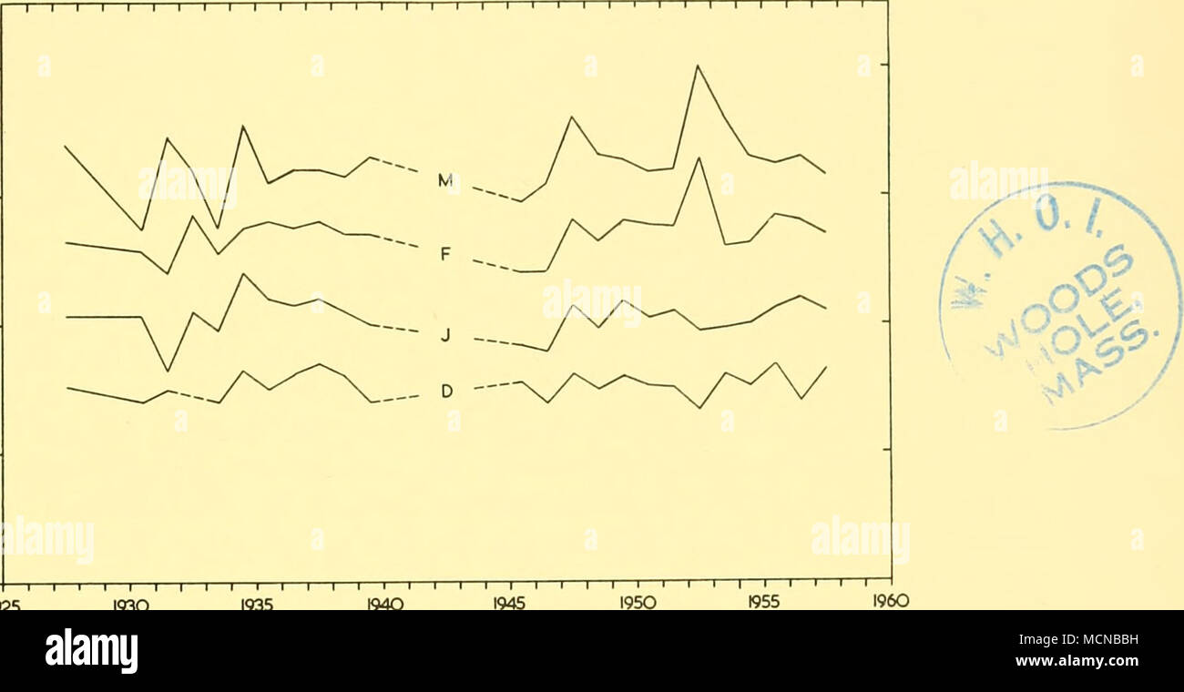 . OA - 1 - 1 - 1 - 1 - 1 - 1 - 1 - 1 - 1 - 1 - 1 - 1 - 1 - 1 - 1 - 1 - 1 - 1 - 1 - i - 1 1925 1930 1935 1940 1945 Jahre Text-Bild. 32. Variation der Mittlere monatliche fetale Längen über den Zeitraum 1925-58 (von der Internationalen Walfangkommission Statistiken, Sandefjord). Punkt. Im Januar 1935 und Februar 1953 zum Beispiel, wo gibt es eine große Abweichung von der allgemeinen bedeuten für den Zeitraum, der Berechnung der Mittelwert ± 2 S.E. zeigt, dass diese Werte deutlich mehr als 0-25 m. und etwa 0-5 m. der Mittel für den gesamten Zeitraum. Abweichungen von dieser Reihenfolge könnte Verschiebungen der mittleren Datum der con Stockfoto