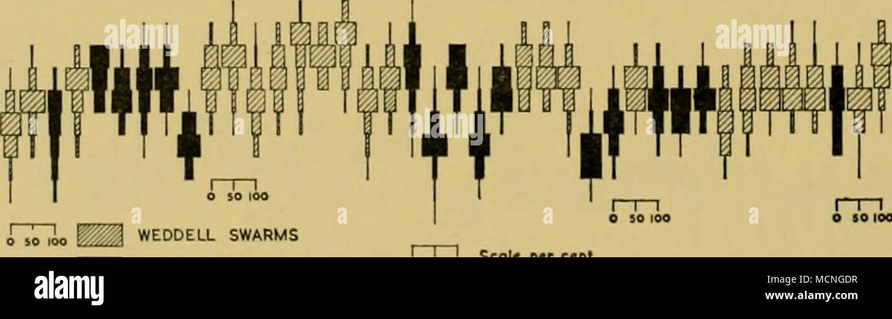 . Ostwind schwärme Maßstab Prozent (6) (7) (8) (8) (5) (6) (7) (6 x 7) (6) (8) (6K7) (6) (8) (7 x 8) (6 x 7) (7) (7) (a) (8 x 8) (5) (8) (8) (8) (8) (8) (8) (5) n; Meas - gemessen 702 69 23 63 77 32 146 III I 60 830 60 33 17 153 184 134 25 52 39 370 61 159 87 167 Zu 171 36 SO lOO 471 342 33 109 91 57 39 50 56 53 III N°MEAS-GEMESSENEN F'g - 43 - Endgültige Zustand des erwachsenen Schwärme im Osten Wind-Weddell Oberfläche stream. Siehe S.233 und Legende zu Abb. 40. Ich Stockfoto
