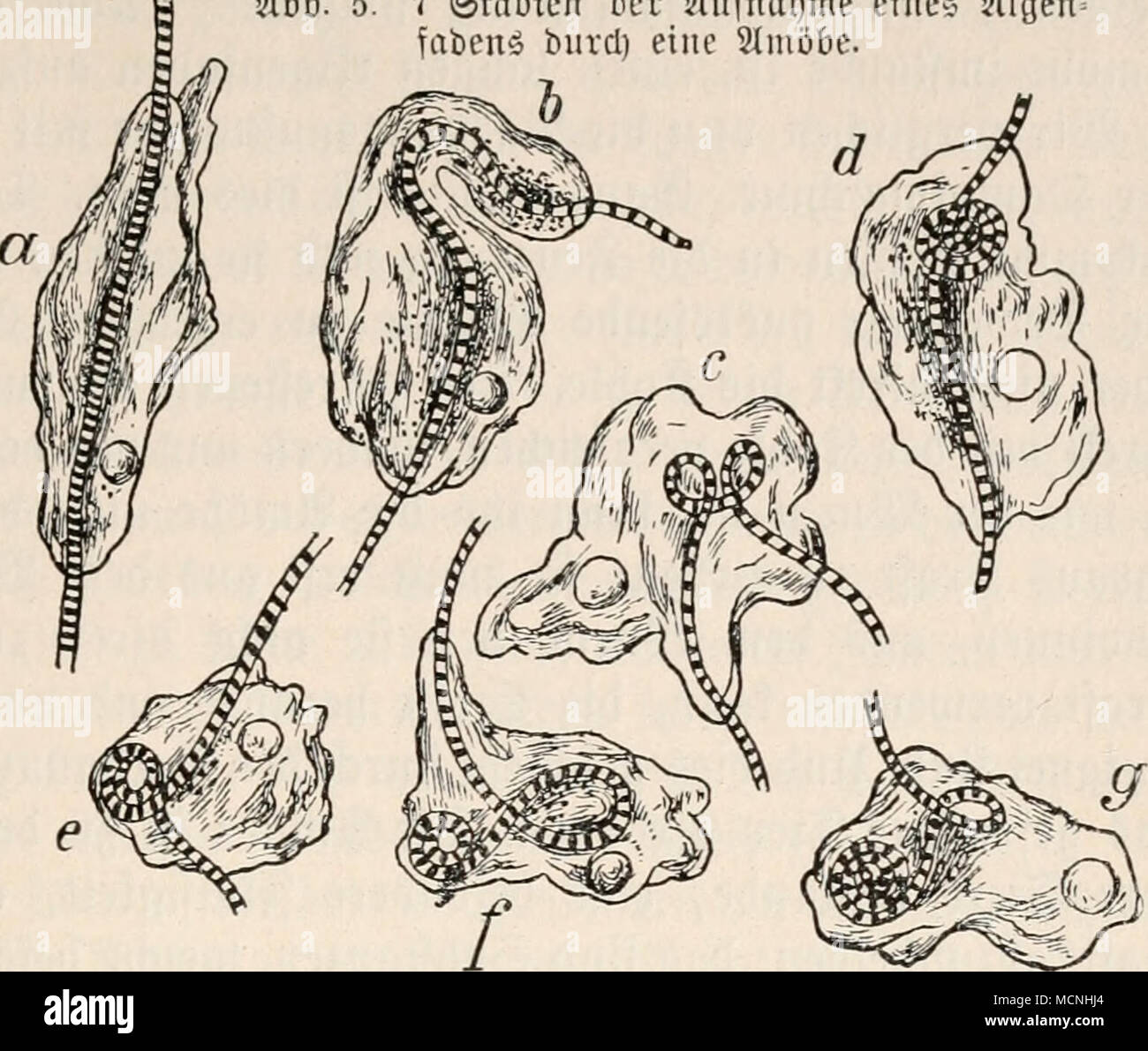 Hci Stockfotos Und Bilder Kaufen Alamy