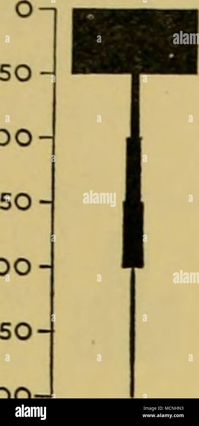 . Es t^ein so 100 • 250 • SOO • 750 1000 SO 100 2 SO SOO 7 1000 213 2767 351 17 119 824 12 1323 76 4 221 1793 55 382 21 7 IIS 4 519 146 (LIS) 27 Od 4 6 (5) 41 (10) 229 (188) 0) 11 (1) 2 (1) - 13 (12) 6 (5) 5 (4) II 3 (2) - 4 (3) 2 (1) C48) (120) (37) (15) (38) (44) SO 100 2 SO • t-soo 7 also 1000 Abb. 9. 4-stündlichen vertikale Verteilung der kombinierten Calyptopis Stufen angezeigt, wenn keine ausgeprägte tagaktive Bewegung. Die Verteilung ist hier aus Daten an der ozeanischen Stationen, wo die ersten Calyptopis kostenlose aufgetreten gewonnen hat, die Anzahl der Stationen, die während einer 4-stündigen Periode, wo solche fiel Stockfoto