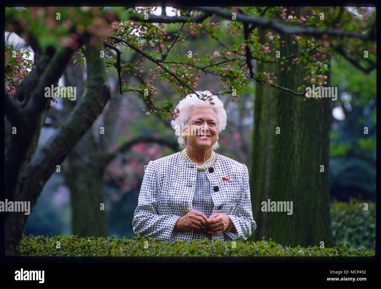 Datei: 17 Apr, 2018. Ehemalige Foto: Washington, USA. 10 Apr, 1992. First Lady Barbara Bush 1925 - 2018. Die matriarchin eines republikanischen politischen Dynastie gestorben Dienstag, 15. April 2018, entsprechend einer Aussage aus dem Amt ihres Mannes. Sie war 92. Foto: Washington, USA. 10 Apr, 1992. First Lady Barbara Bushpeers durch die Büsche der Rosengarten eine Pressekonferenz statt, die von ihrem Mann Präsident George Bush im Weißen Haus am 10. April 1992 zu sehen. Credit: Sharon Natoli/Alamy leben Nachrichten Stockfoto