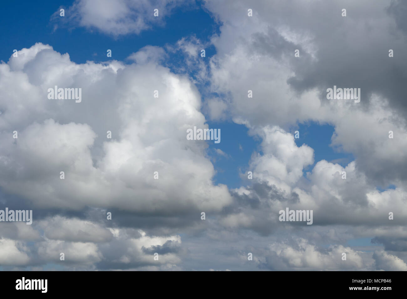 Hohe Bildqualität von Wolken bedeckten Himmel vor dem Regen. Regnerische Wolken fliegen über Horizont, cloudscape. Stockfoto