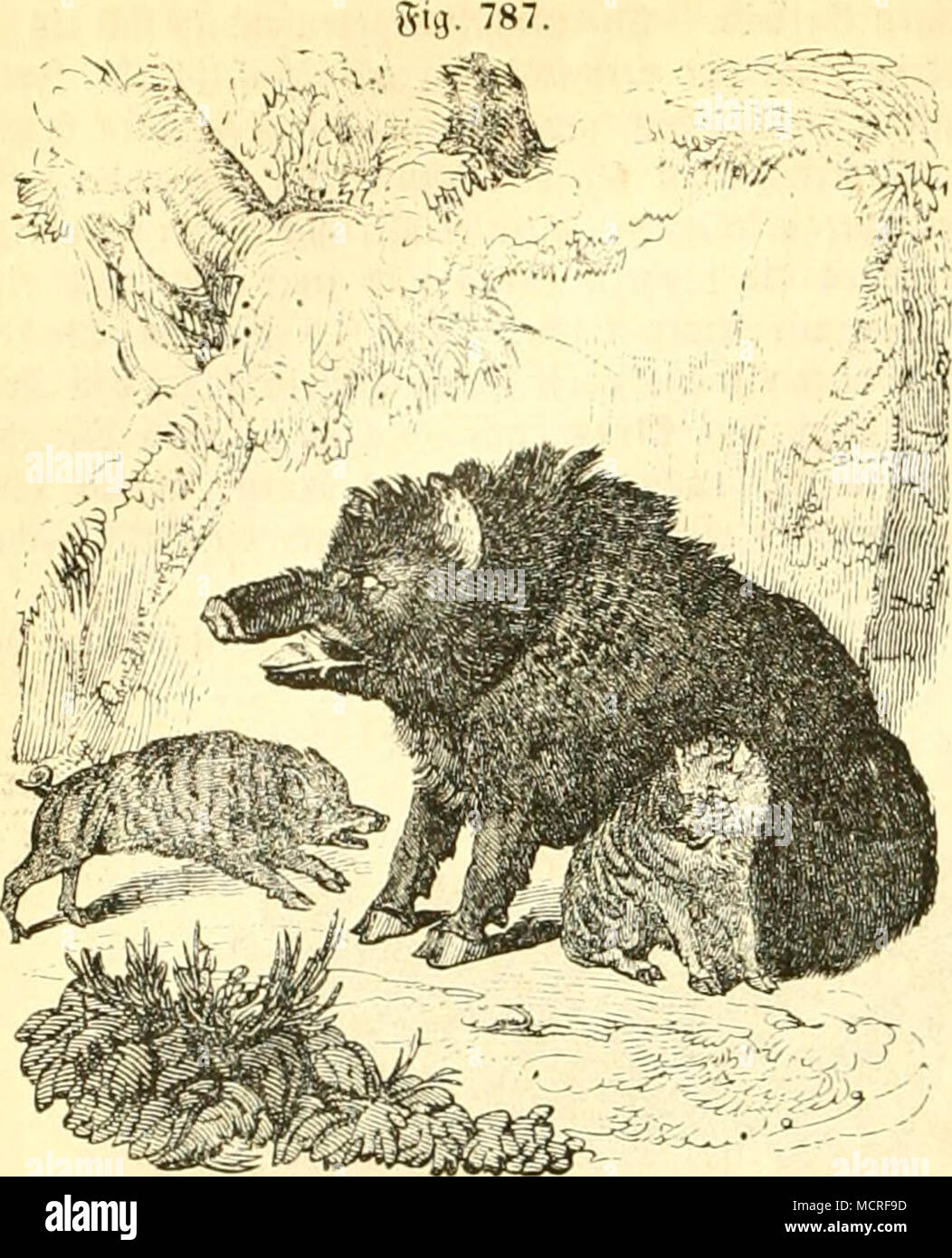 . Ich?, iid) i' mit Ã¶ un^en. Â© diateii iud) t aiuvlcid) t. Â© ic liefern t'ctanntlich ein GC=funreÂ "Ã¤ iUlcpret, iii "Ffi ediinfcn unf Ã ¤ Ãurjl, bei rcic ^ = Iid) Äh, ich 'Jaft und) ricl Â© verf. iPovften, S^ixwX nntÂ".^ Auer fintcn ibve ebenfalls Lu'nventunj. 3) ic5>> ad) c ift fdu' uen Stockfoto