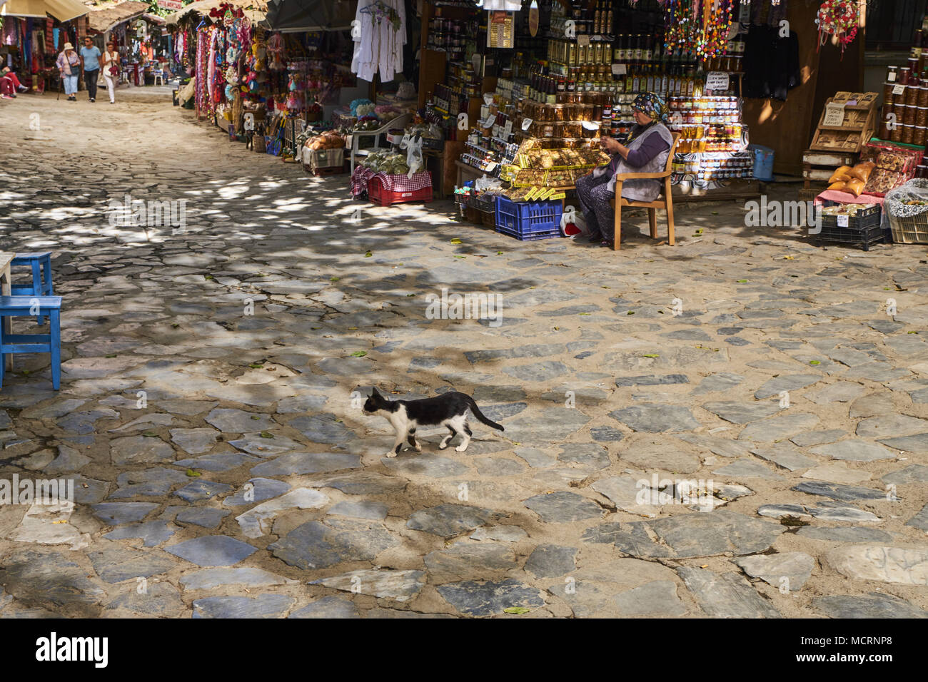 Die Türkei, Izmir, Provinz, Katze im Bazar der traditionellen Dorf Sirince Stockfoto