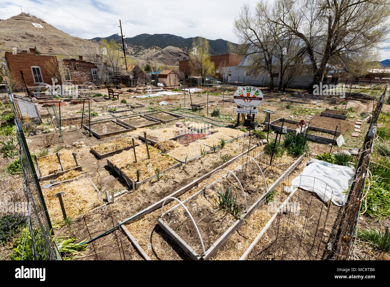 Mai; Garten; Gemeinschaft Salida Salida, Colorado, USA Stockfoto