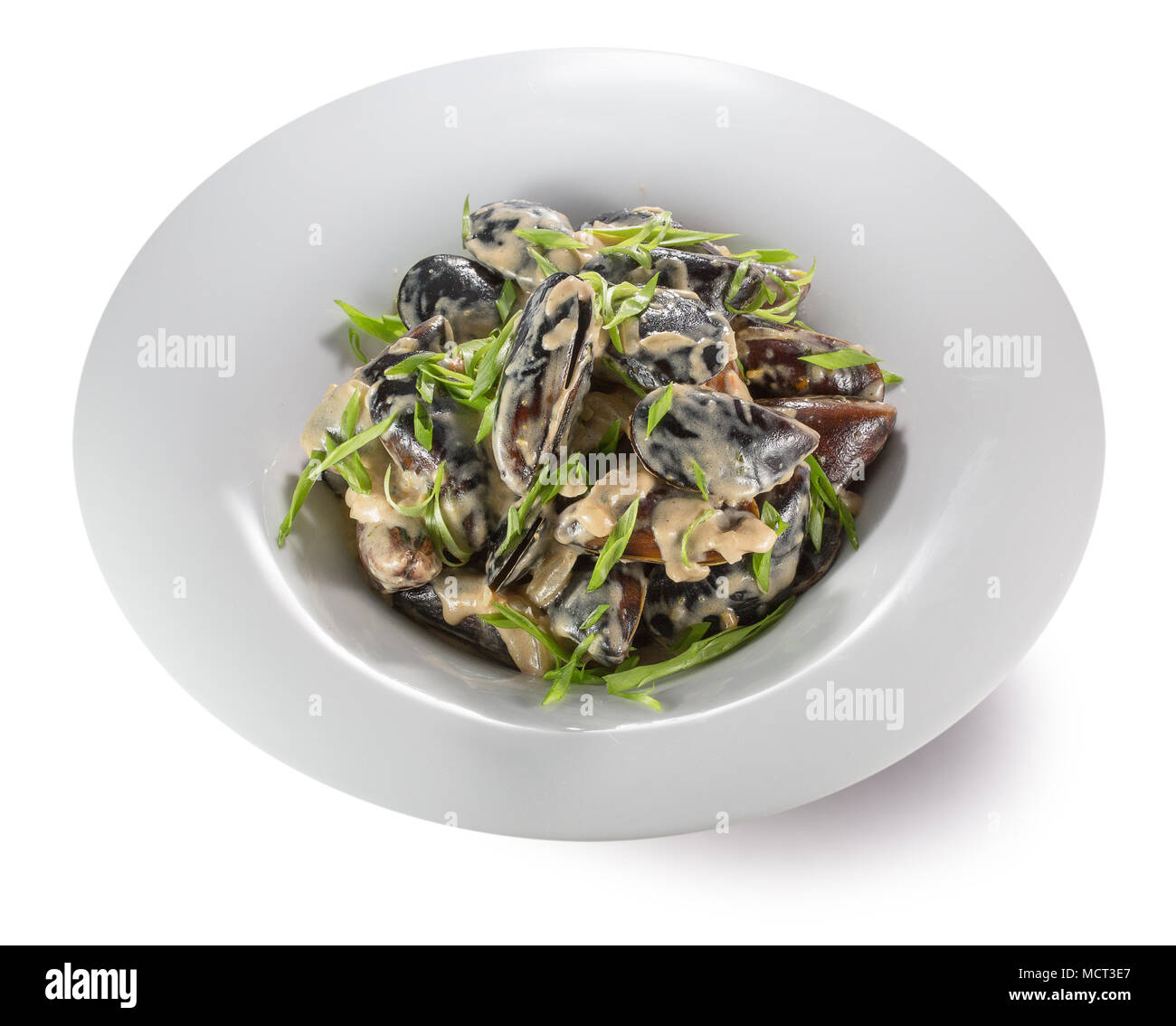 Meer Salat in einer Platte. Stockfoto