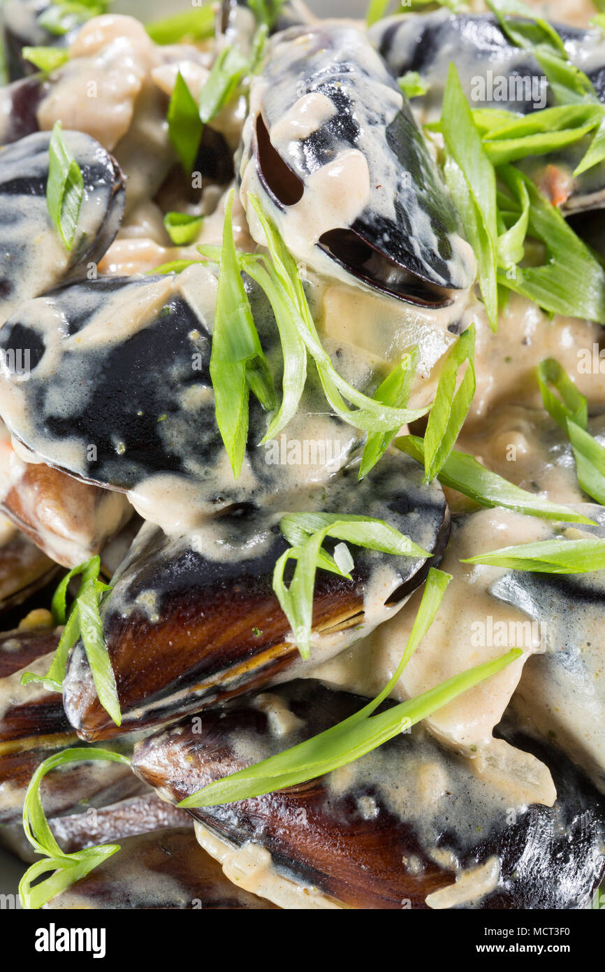 Meer Salat in einer Platte. Stockfoto