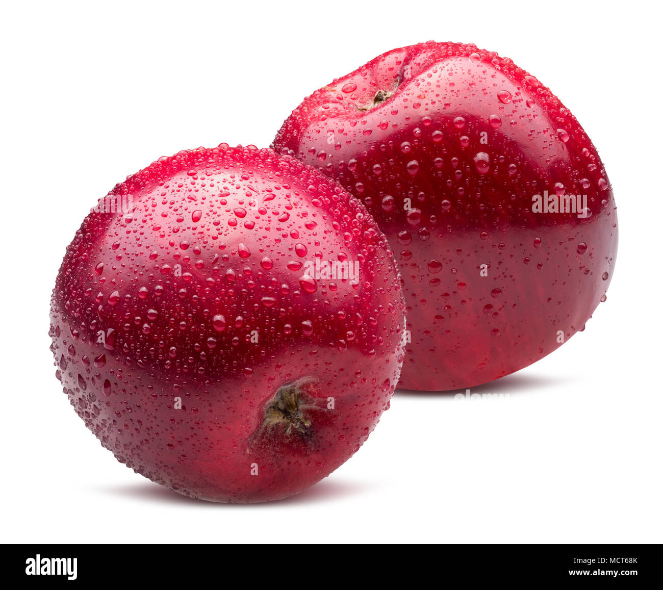 Rote Äpfel mit Wassertropfen auf einem weißen Hintergrund. Stockfoto