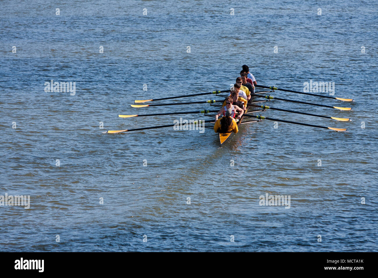 Atlanta, GA, USA - 22. November 2014: Eine Mannschaft Mannschaft von Georgia Tech Züge durch rudern Sie den Chattahoochee River auf einem Fall morgen. Stockfoto