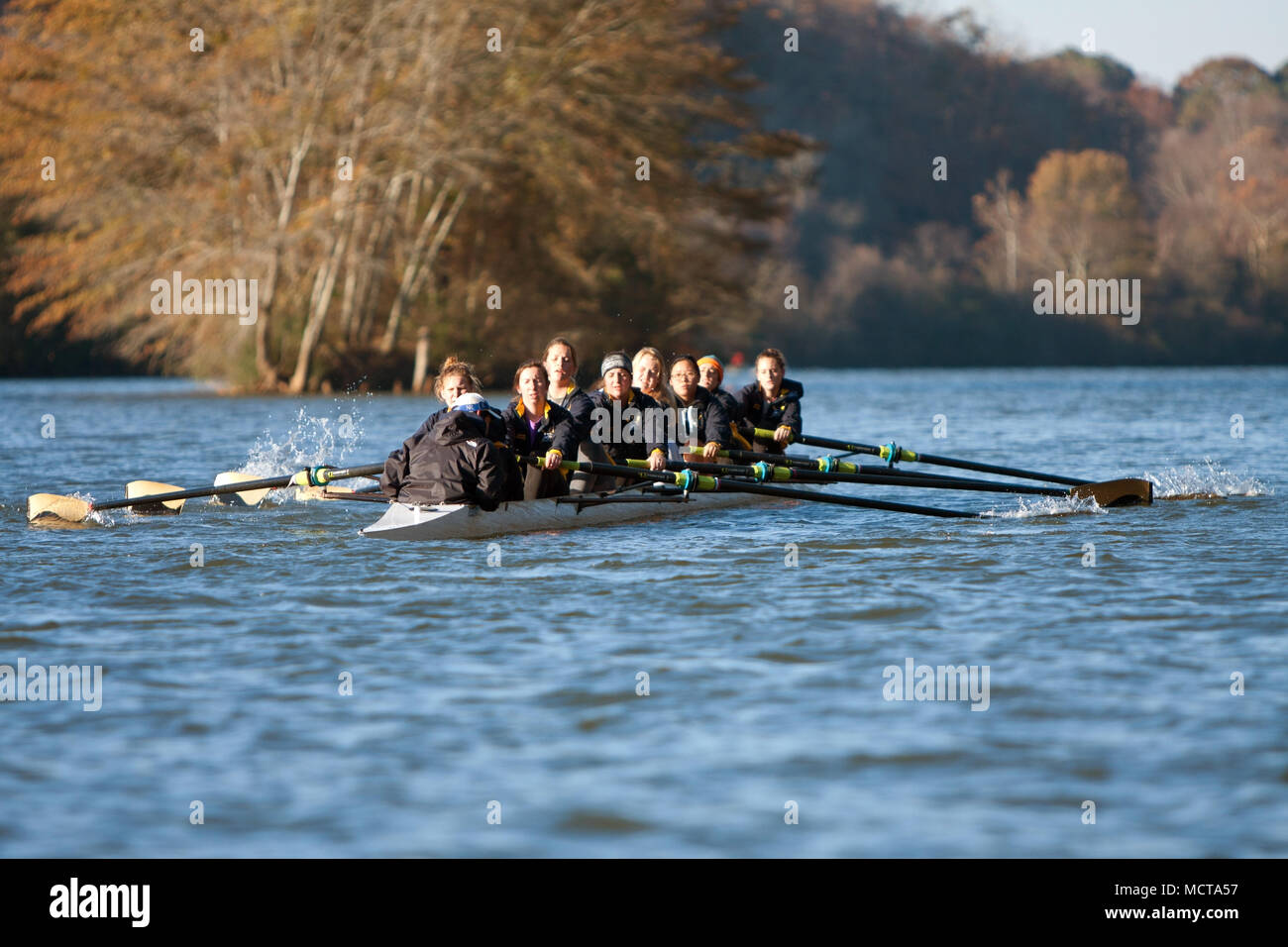 Mannschaft Mannschaft der Frauen von der Emory Universität Zeilen nach unten den Chattahoochee River auf einem kalten Herbst morgen am 22. November 2014 in Atlanta, GA. Stockfoto
