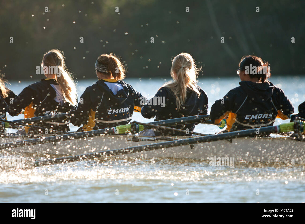 Mannschaft Mannschaft der Frauen von der Emory Universität Zeilen nach unten den Chattahoochee River auf einem kalten Herbst morgen am 22. November 2014 in Atlanta, GA. Stockfoto