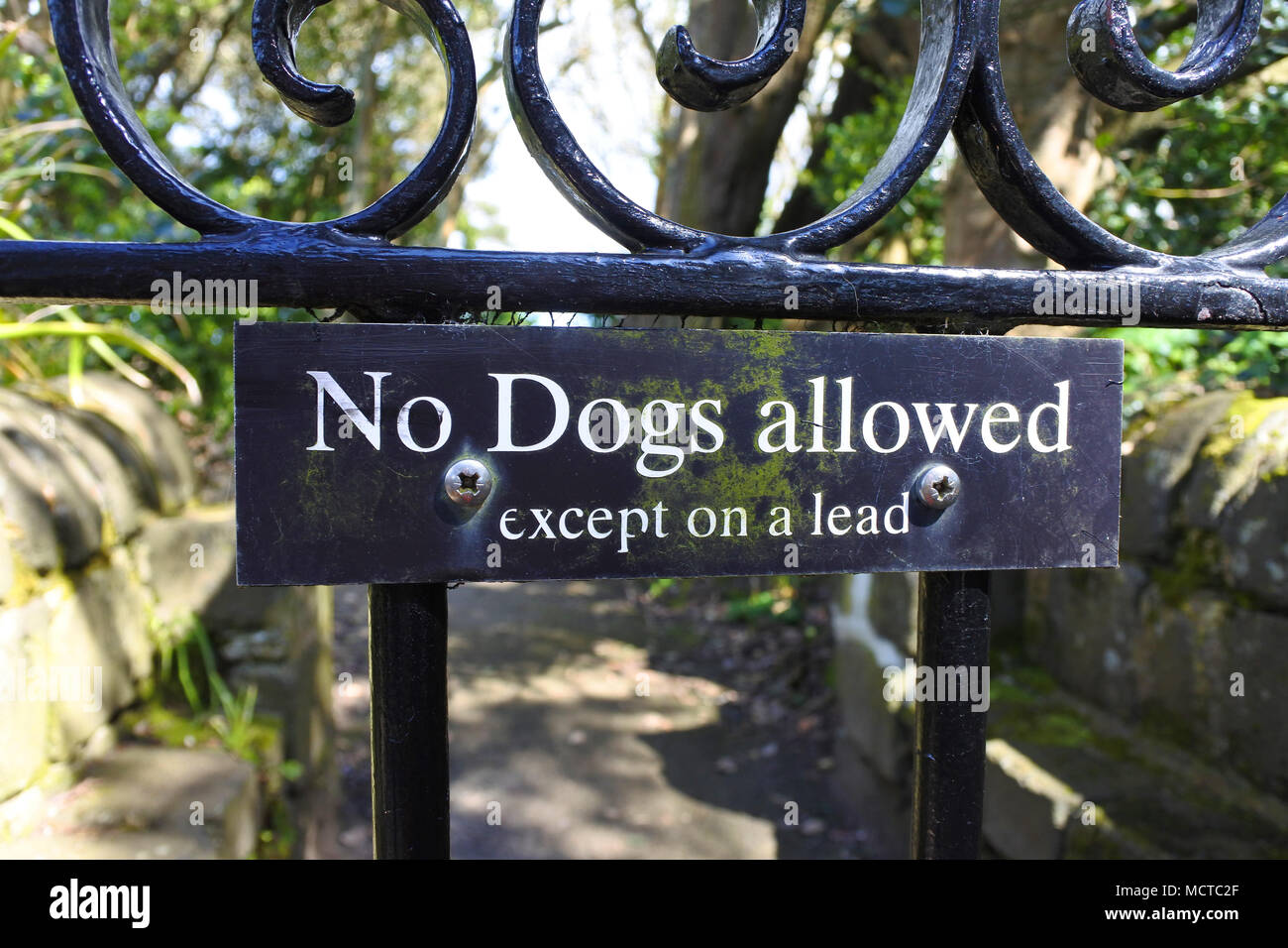 Keine Hunde erlaubt Zeichen auf einem reich verzierten schmiedeeisernen Tor - Johannes Gollop Stockfoto