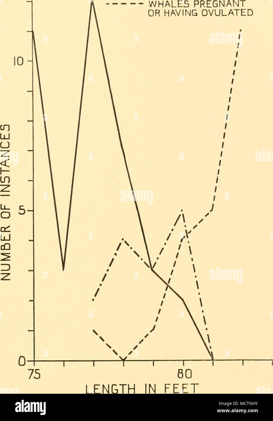 . Abb. Länge Länge Verteilung der unreife und reife Wale (1932-3). Länge (m) 78 79 80 81 82 83 Anz. der unreifen Wale Nr. der Reifen Wale 9 11 6 12 6 26 2 20 4 36 0 45 Die oben angeführten Daten zeigen die Wahrscheinlichkeit, dass einige der unreifen Klasse in einer Übergangsphase einbezogen werden sollten, und von da an war nicht möglich, die im-Reifen Wale können erscheinen, zu Unrecht auf die Längen der80-81 ft vertreten zu sein. Die allgemeine Angabe ist jedoch die gleiche. Stockfoto