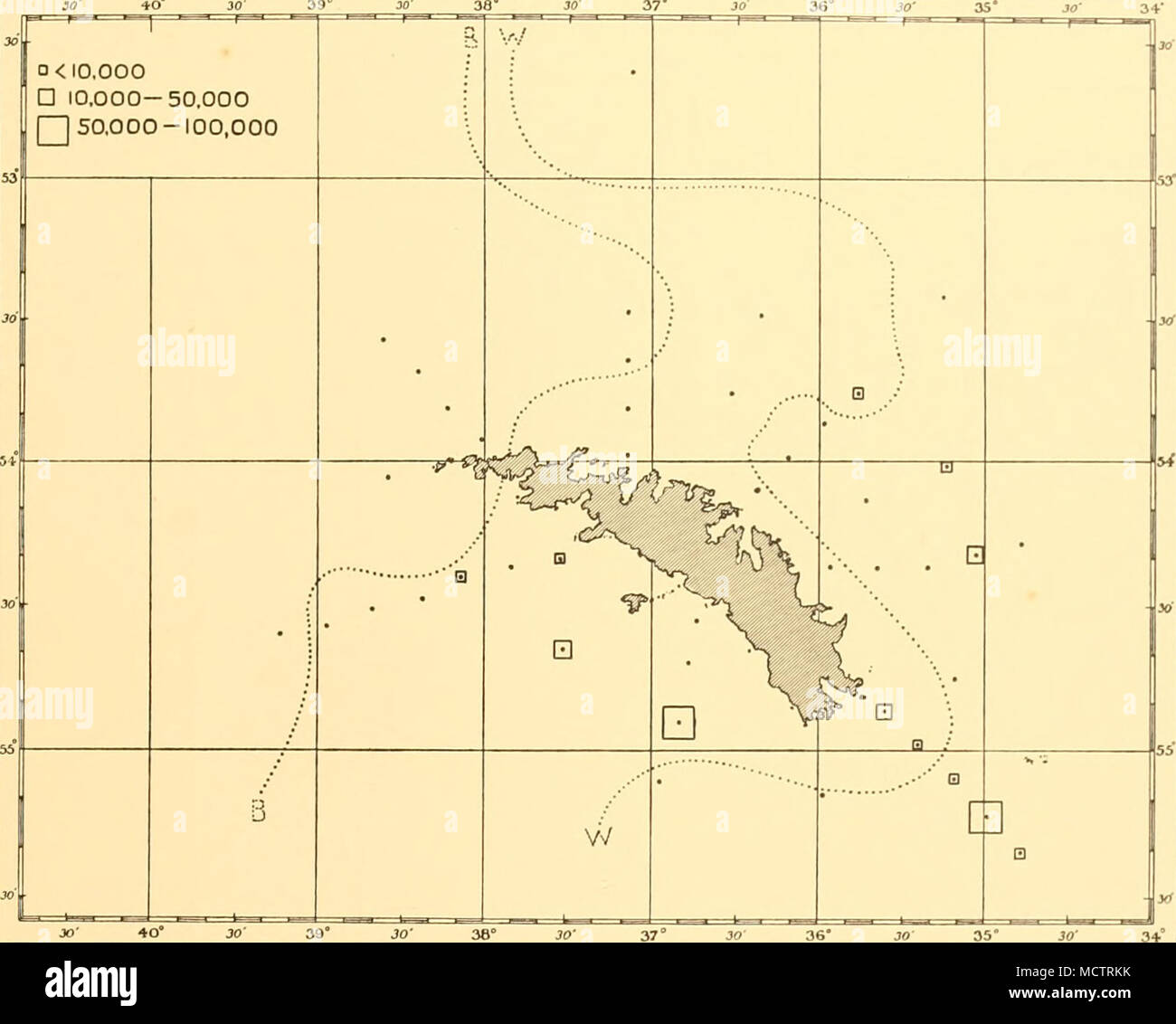 . Abb. 29. Verteilung der Biddulphia striata runde South Georgia im Dezember-januar 1926-7 Umfrage für vollständige Erläuterung siehe Legende der Fig. 16. Synedra. Synedra spaihulata, Schimper, wurde mit an jeder Seite der Insel getroffen, aber nur in kleinen Zahlen. Es wurde bei den folgenden Stationen: WS 36, WS38, WS39, WS43, WS44, WS45 und WS51. Thalassiothrix. Thalassiothrix Antarktis, Schimper, war reichlich Str. 12 auf der Linie nähert sich South Georgia von Tristan da Cunha im Februar 1926, wo es um die Anzahl der 4,600,000 im N70V net von 50 m verwendet wurde. an die Oberfläche. Zwischen Stockfoto