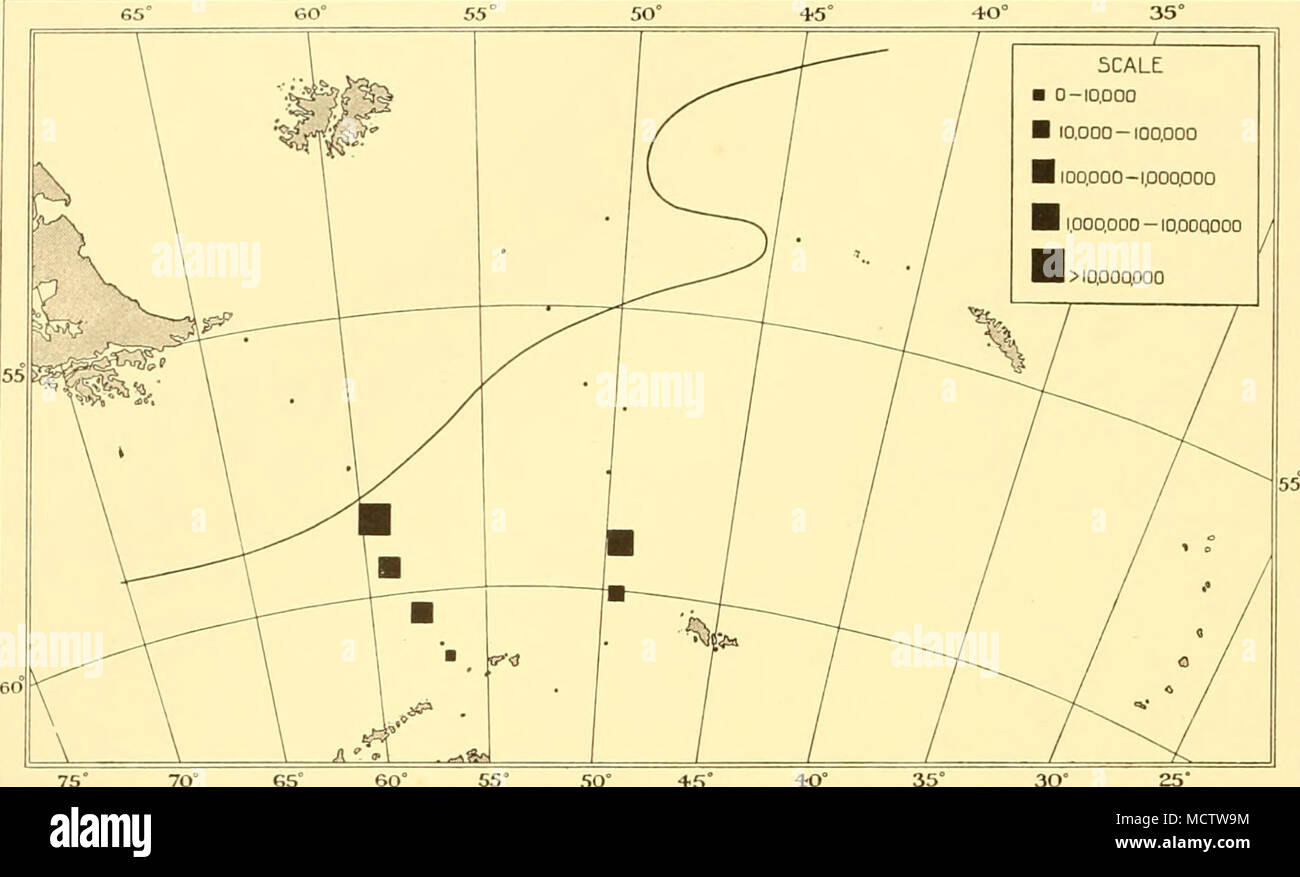 . 75' 70° S 5° 60" 55* so '45' 40" 35° 30 Abb. 42. Die Verteilung der Chaetoceros neglectus in der Scotia See, Februar-März 1931. esÂ°60'55 Â° 50 Â° 45 Â° 40 Â° 35 Â° â X^/-^-^- //SCALE â 0 -10.000 N Â"r (//â 10.000 -100.000 B 100.000 - 1.000 .000 â"^^)/â â/H 1. OQODOO -10,000.000 / / / Auf^^^ isW-,,^â L  % //m^^^' Ich 55^i - 1/'^ U1/^^/^°/^//'//^/55 â 60/I'. Ich.. rift' - ///7S" 70" 65" 60" 55 Â° SO* • ts '4-0' 35" 30° 25 "Abb. 43. Die Verteilung der Chaetoceros atlanticus in der Scotia See, Februar-März 1931. Stockfoto