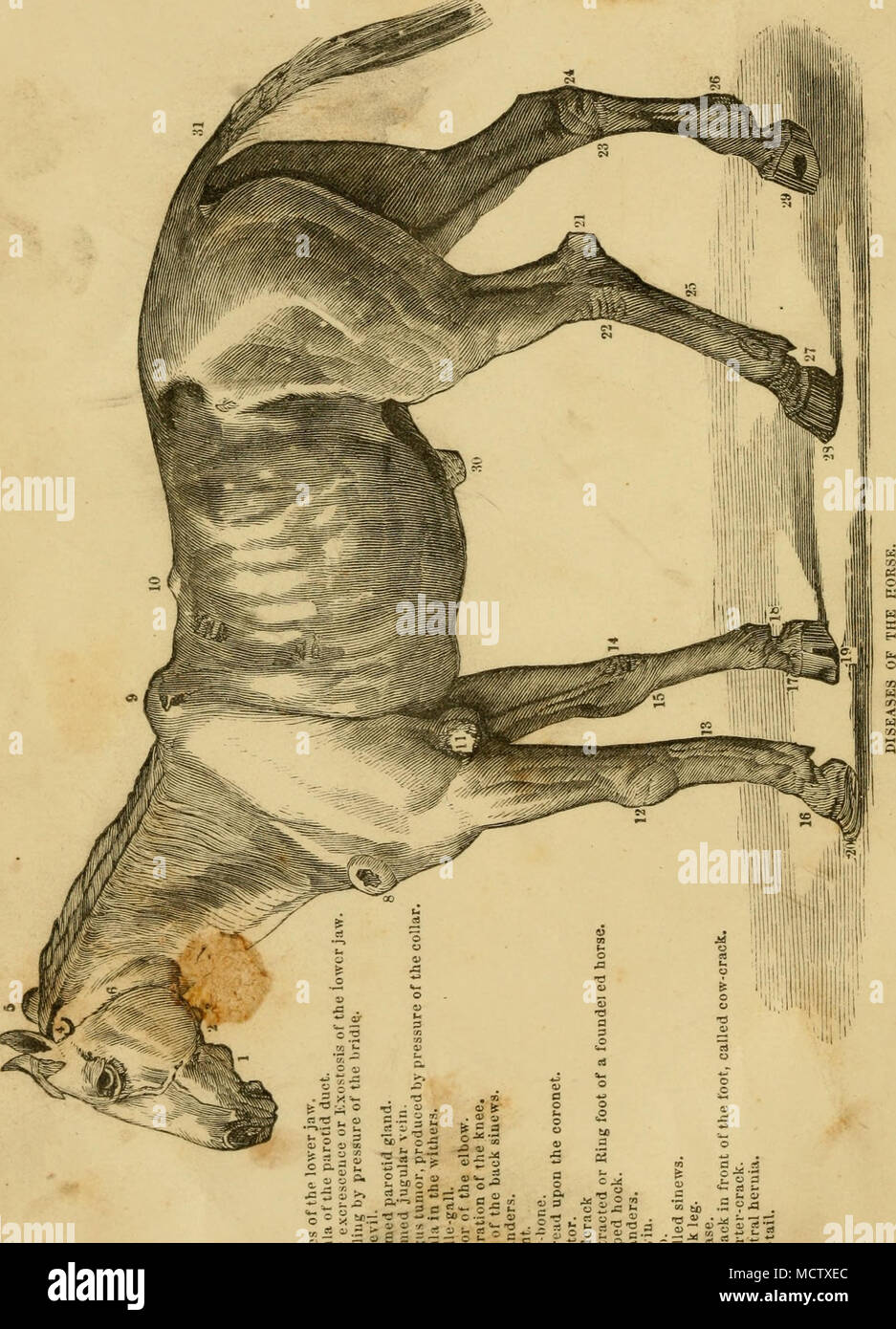 . '-*. N-X t-ic c;<;;;;;;; o": ^o o?; Xu m t-o"" 4^? Ich e^5"""-"-. n "r-xr! 0. Stockfoto