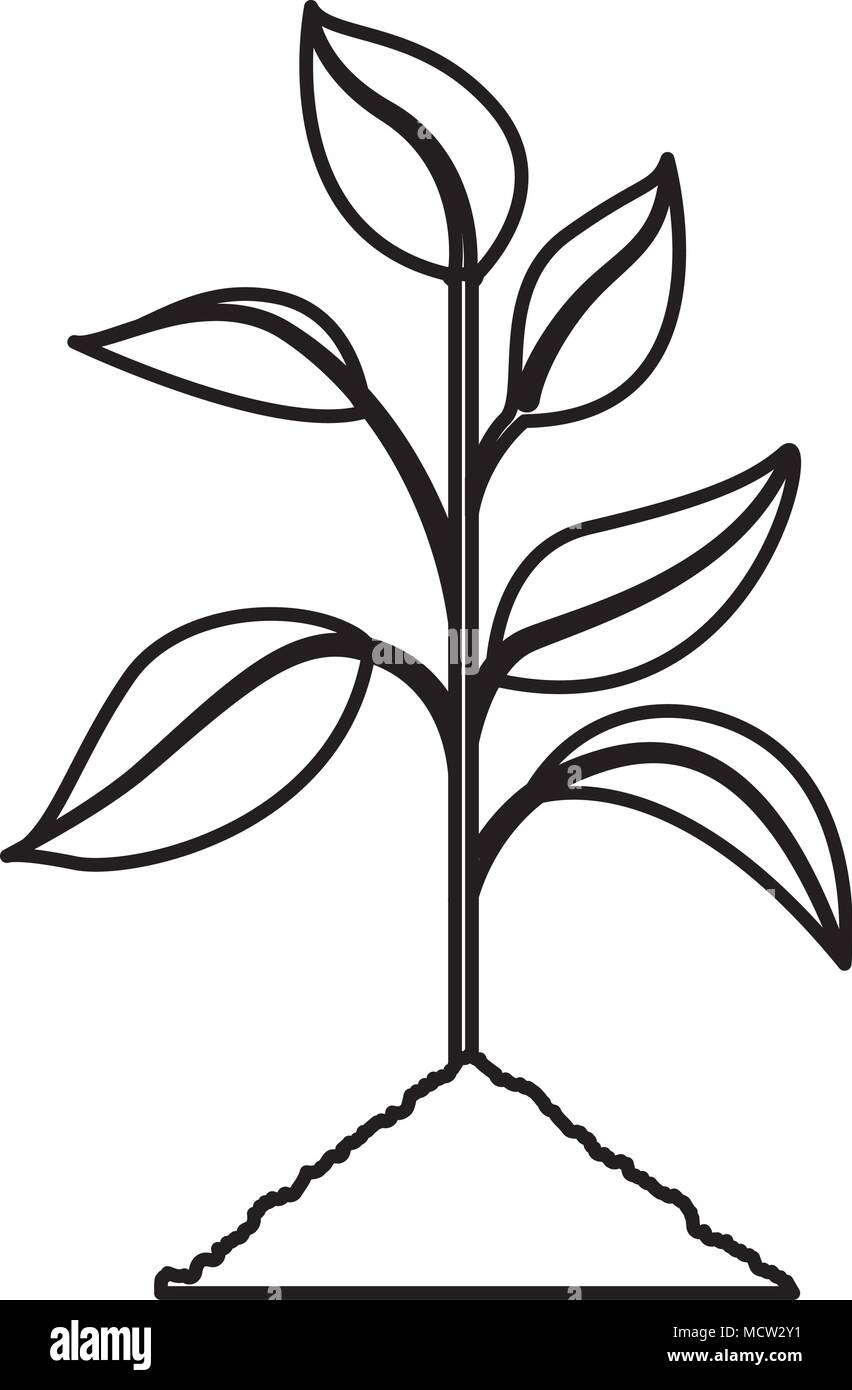 Kultivierte Pflanze Ökologie Symbol Stock Vektor