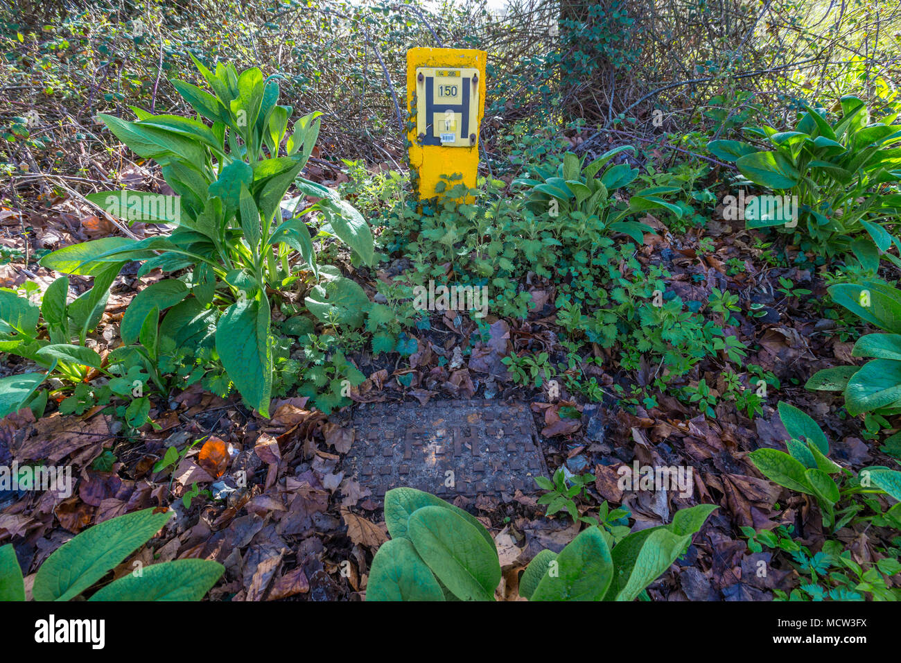 Wasser hydrant Zeichen für die Feuerwehr. Suffolk, Großbritannien. Stockfoto