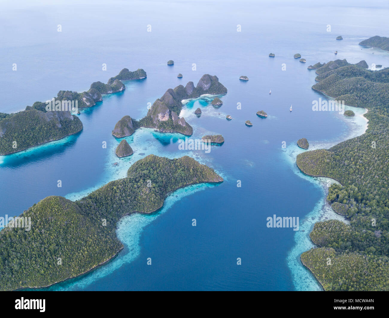 Schönen Kalkstein Inseln sind umgeben von Korallenriffen in Wayag, Raja Ampat, Indonesien. Diese Region ist für seine unglaubliche Artenvielfalt des Meeres bekannt. Stockfoto