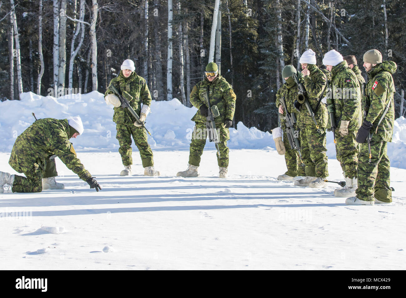 Kanadische Soldaten der Royal Westminster Regiment und Seaforth Highlanders von Kanada Überprüfen der Reaktion Taktik während der Arktischen Eagle 2018 an der Donnelly Ausbildung Bereich Kontakt außerhalb von Fort Greely, Alaska, März 1, 2018. Die Ziele der Arktis Eagle 2018 sind für die beteiligten Kräfte in einer gemeinsamen, interacgency zu bedienen, zwischenstaatliche und multinationalen Umfeld; beurteilen können, nachhaltige Operationen unter arktischen Bedingungen durchführen zu können, und sie integrieren neue und neue Funktionen. (U.S. Army National Guard Foto von SPC. Michael Risinger/Freigegeben) Stockfoto