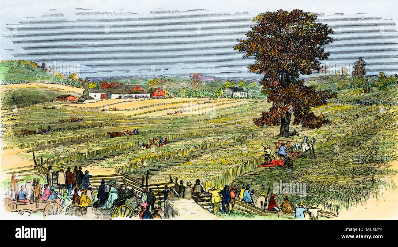 Ernte von Weizen durch die Maschine in den 1850er Jahren in der Nähe von Syracuse NY Handkolorierter Holzschnitt Stockfoto
