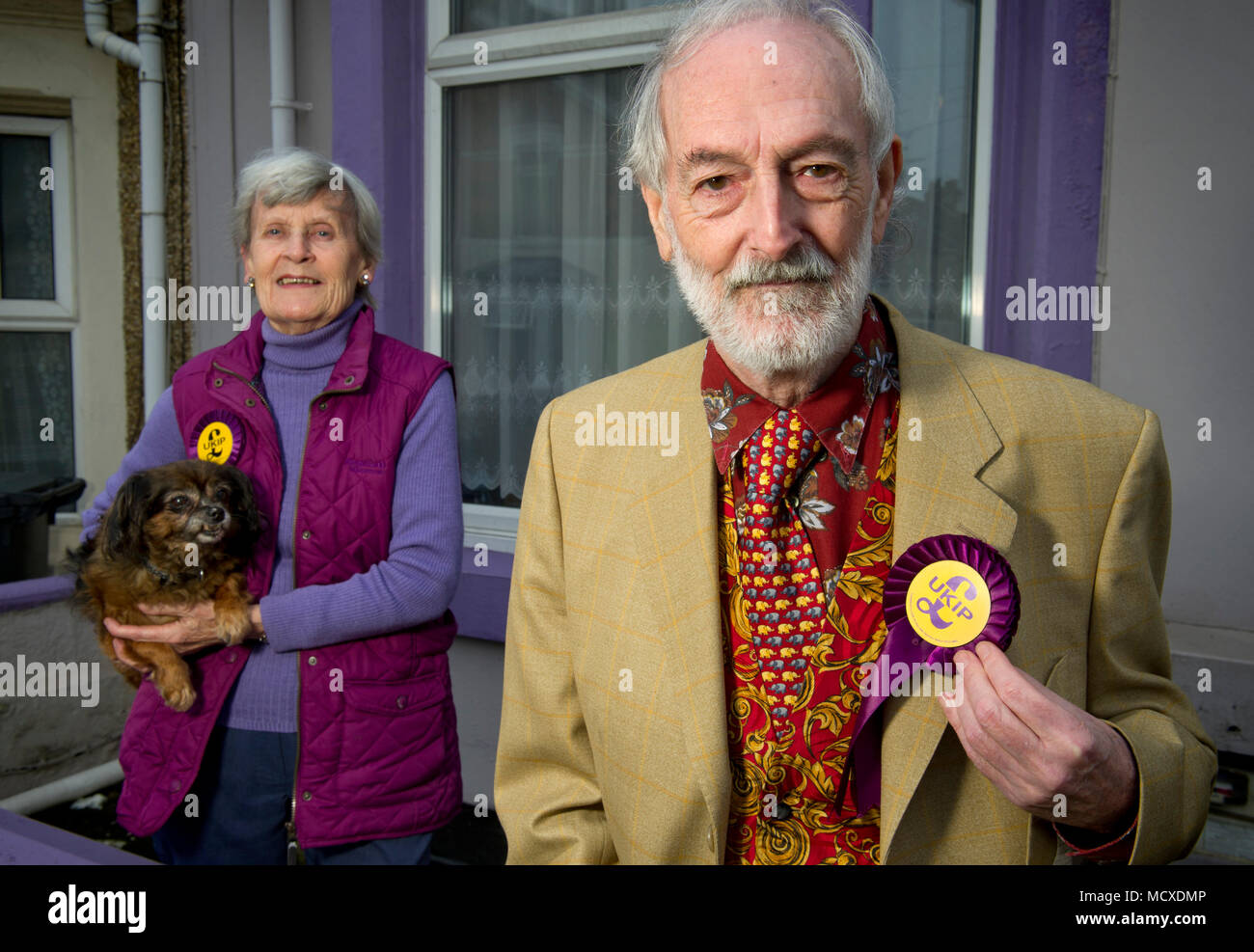 Aubrey & Sheila Attwater, UKIP Mann & Frau Kandidaten in Swindon, Wiltshire, vor ihrem lila (UKIP Farbe) Gemalte Haus fotografiert. Stockfoto