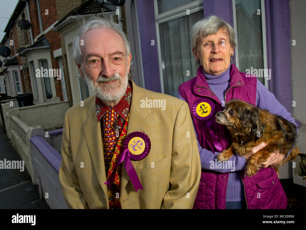 Aubrey & Sheila Attwater, UKIP Mann & Frau Kandidaten in Swindon, Wiltshire, vor ihrem lila (UKIP Farbe) Gemalte Haus fotografiert. Stockfoto