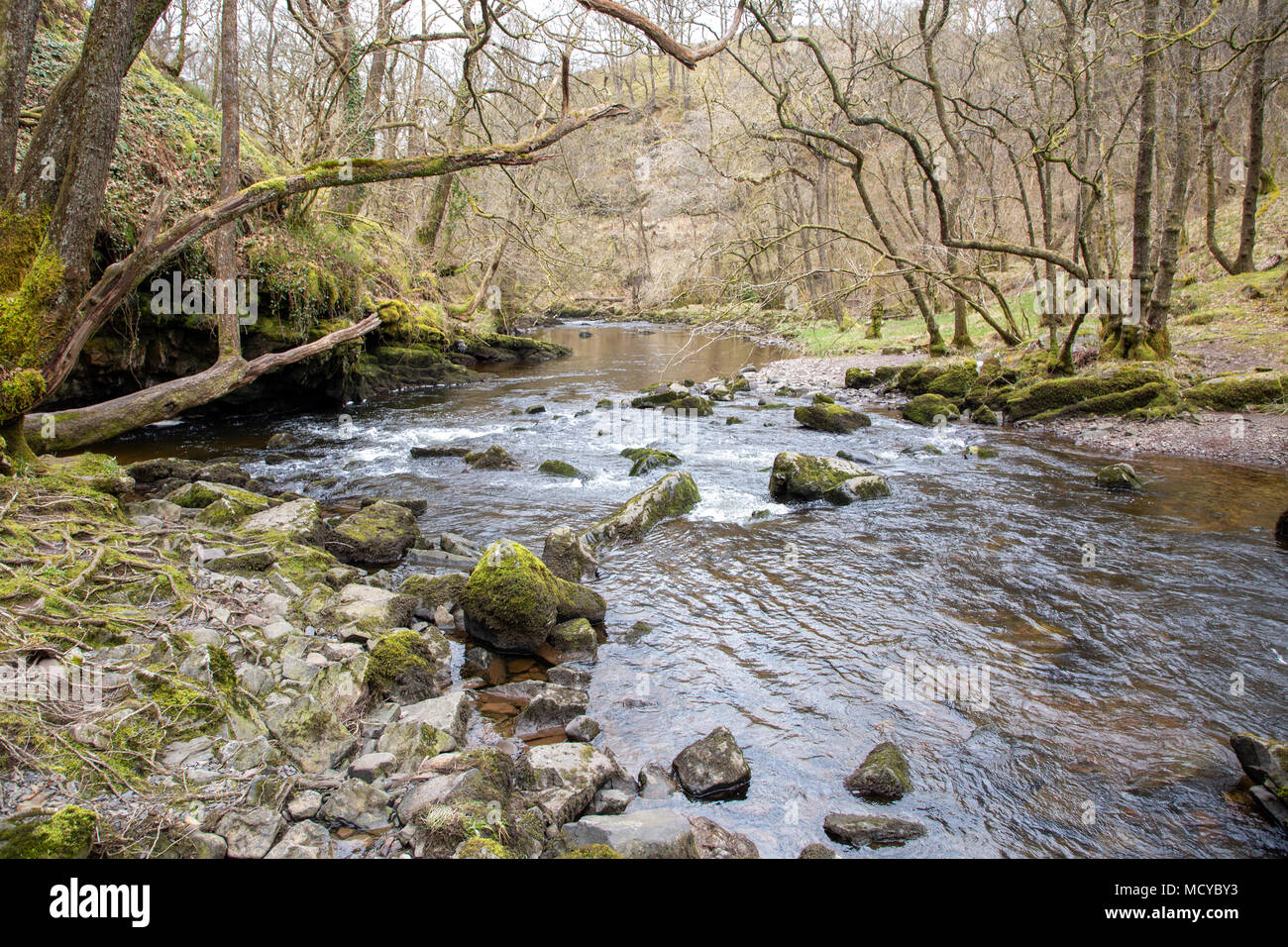 Wasserfall Land, vier Wasserfälle - Brecon Beacons National Park Stockfoto