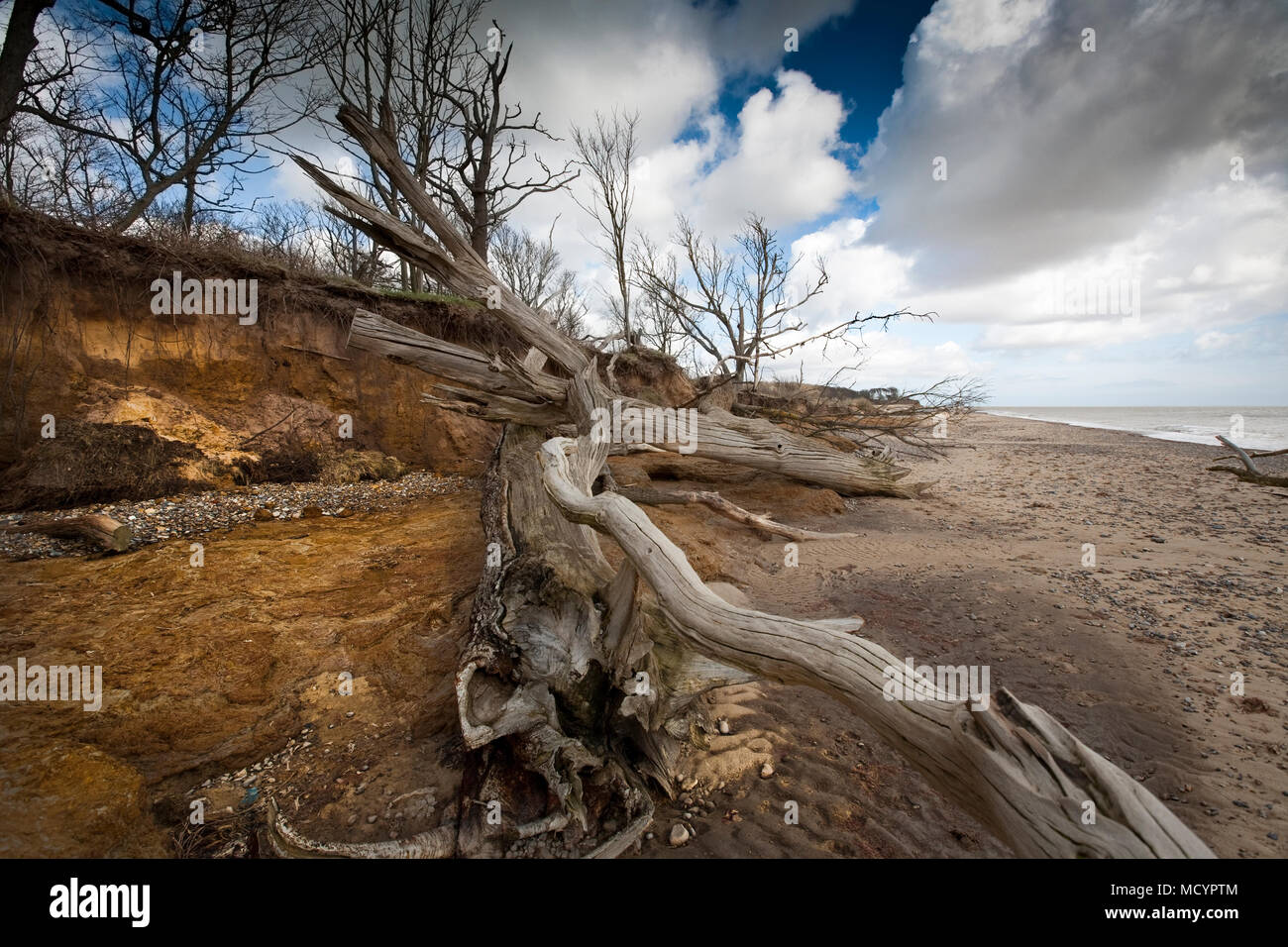 Benacre Strand-Suffolk Stockfoto