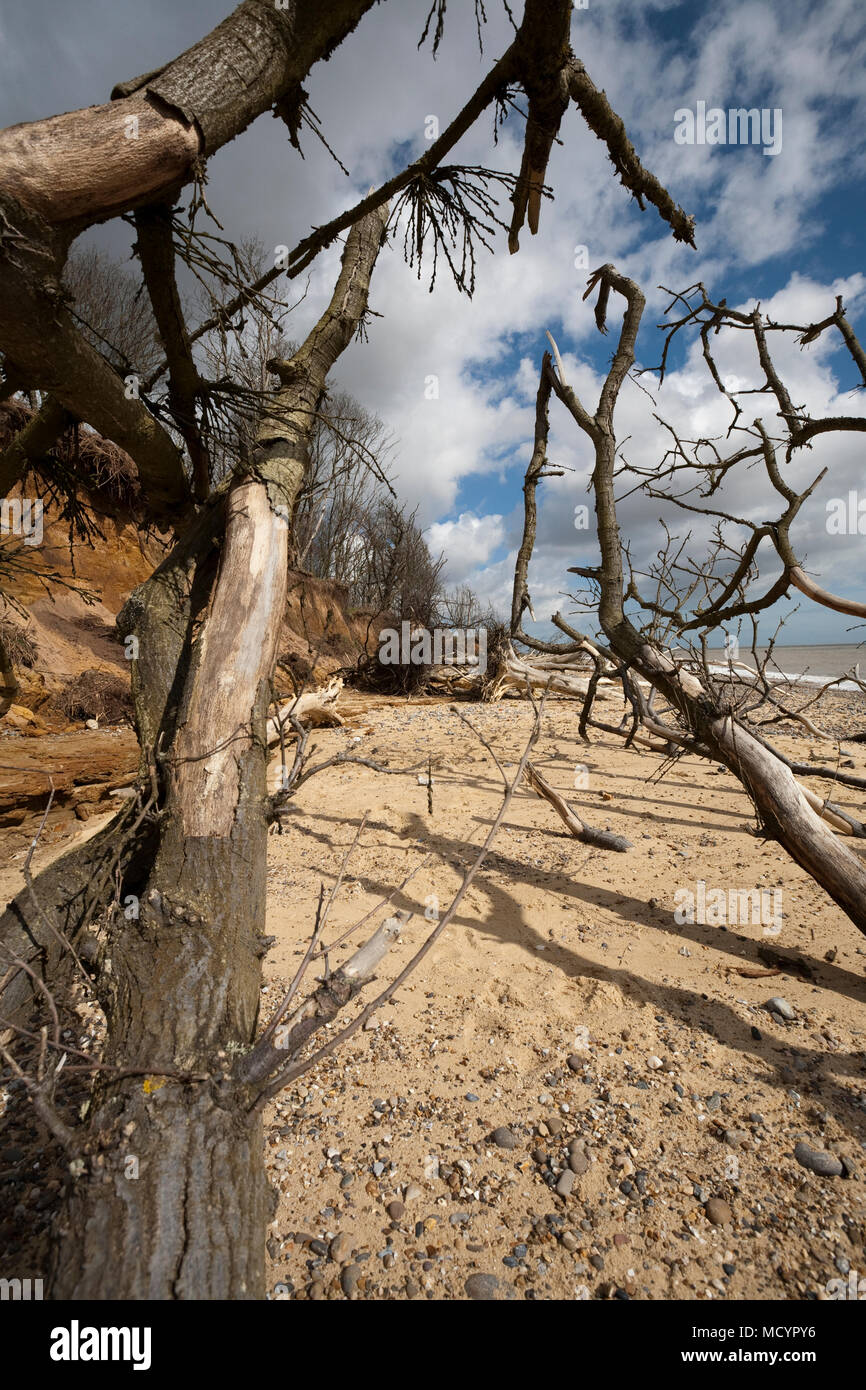 Benacre Strand-Suffolk Stockfoto