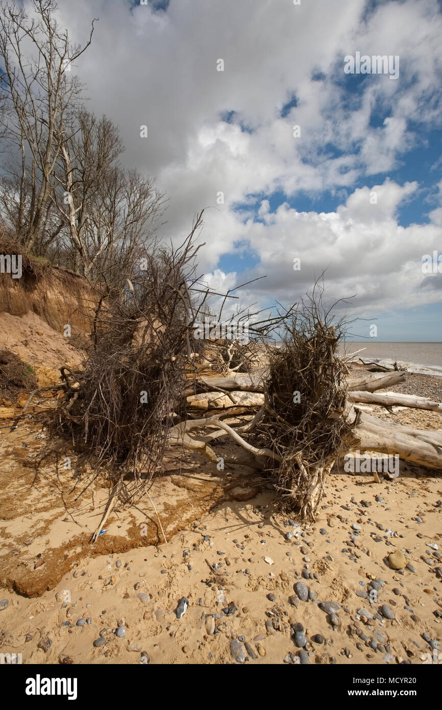 Benacre Strand-Suffolk Stockfoto