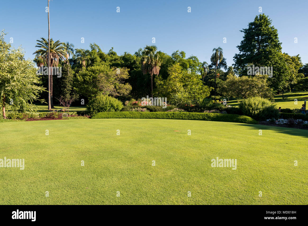 Brisbane, QLD, Australien - März 17, 2018 - Brisbane City Botanic Gardens leer an einem Samstag Nachmittag Stockfoto