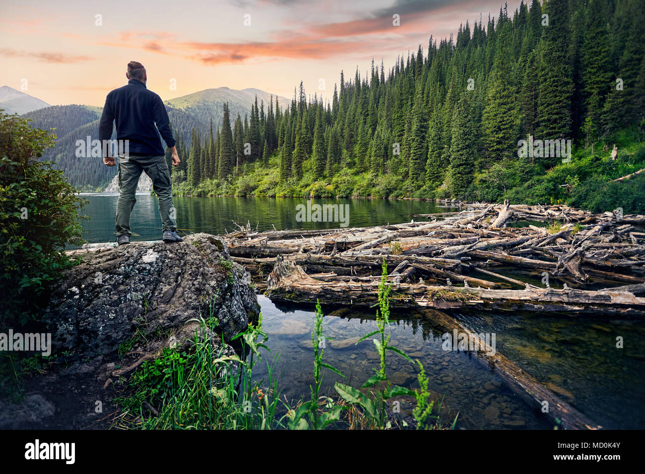 Wanderer in schwarzen T-Shirt steht auf dem Stein und Suchen am Bergsee mit Wald bei Sonnenaufgang Himmel Hintergrund Stockfoto